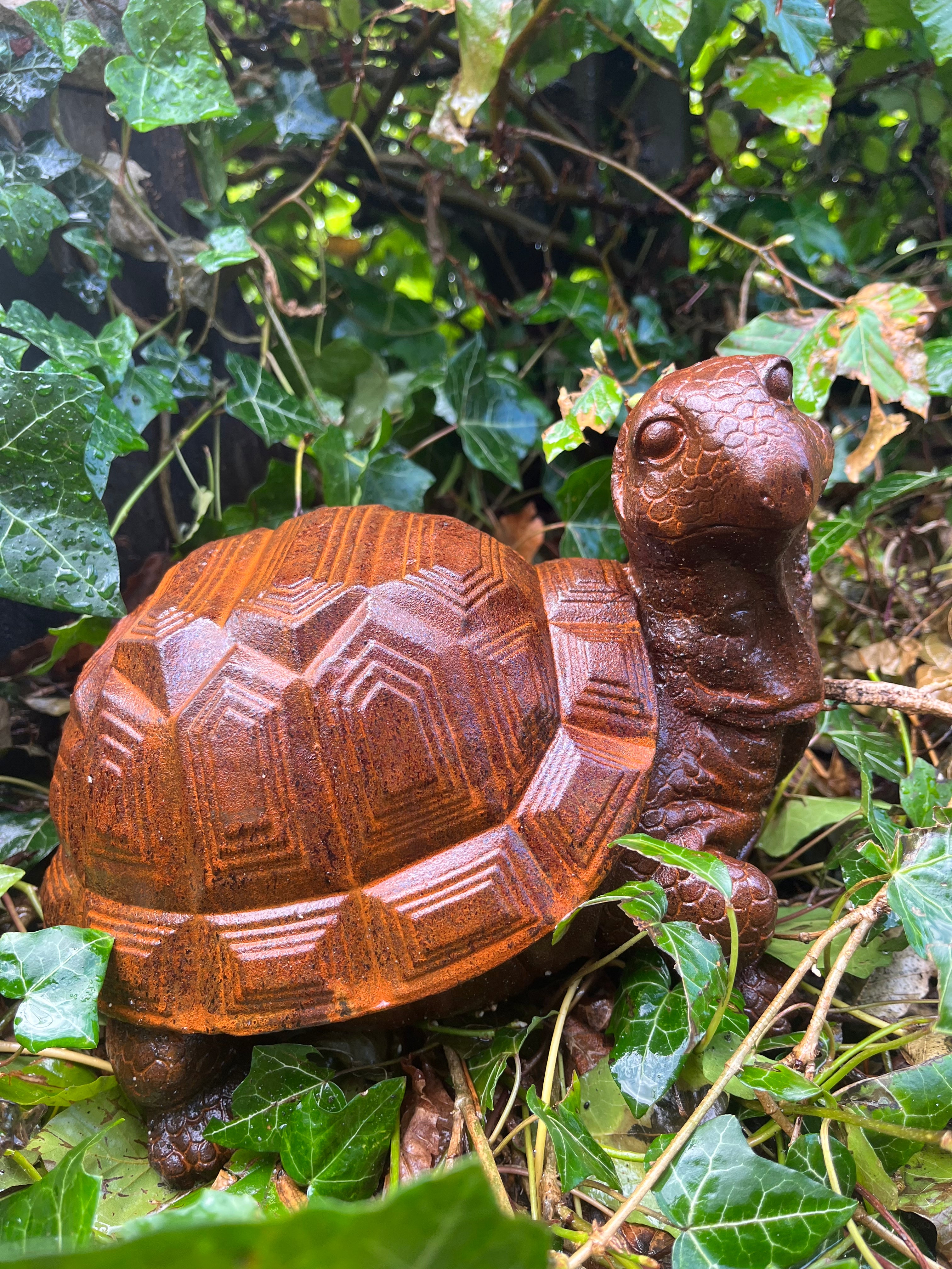 Fraaie schildpad gemaakt van zwaar gietijzer - Brocante bij Ingie