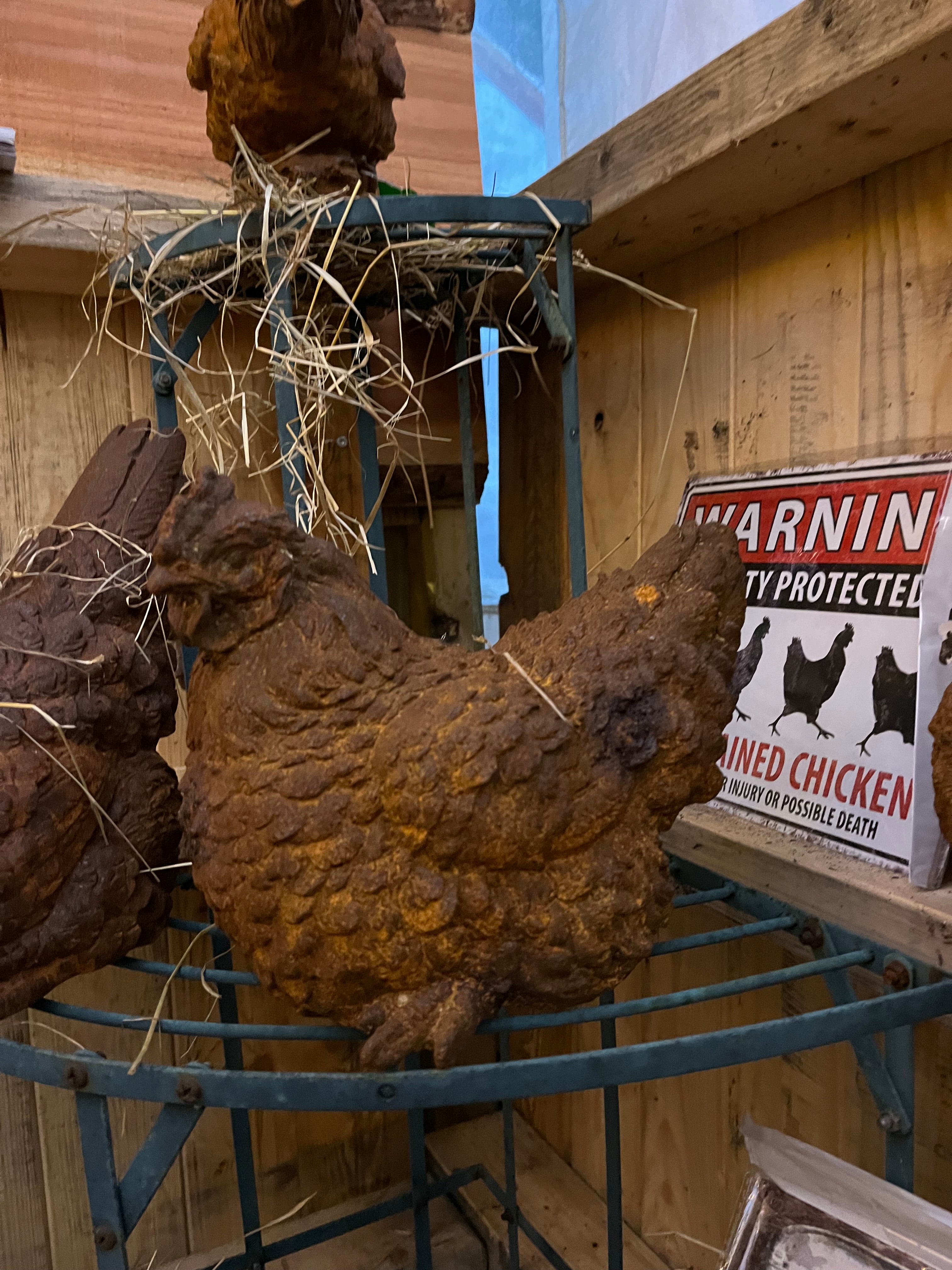 Grote zittende kip van gietijzer - Brocante bij Ingie