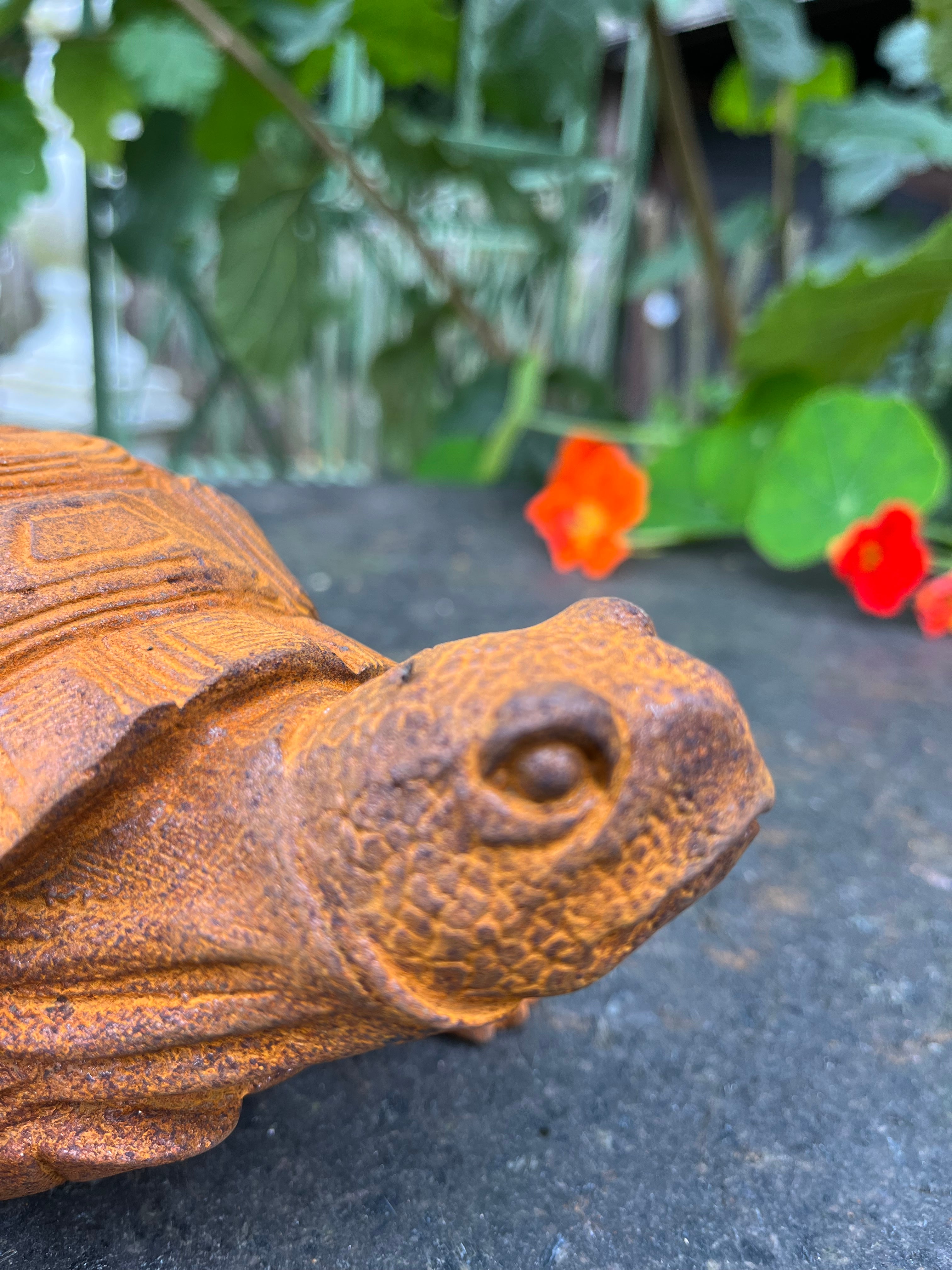 Lief schildpadje gemaakt van zwaar gietijzer - Brocante bij Ingie