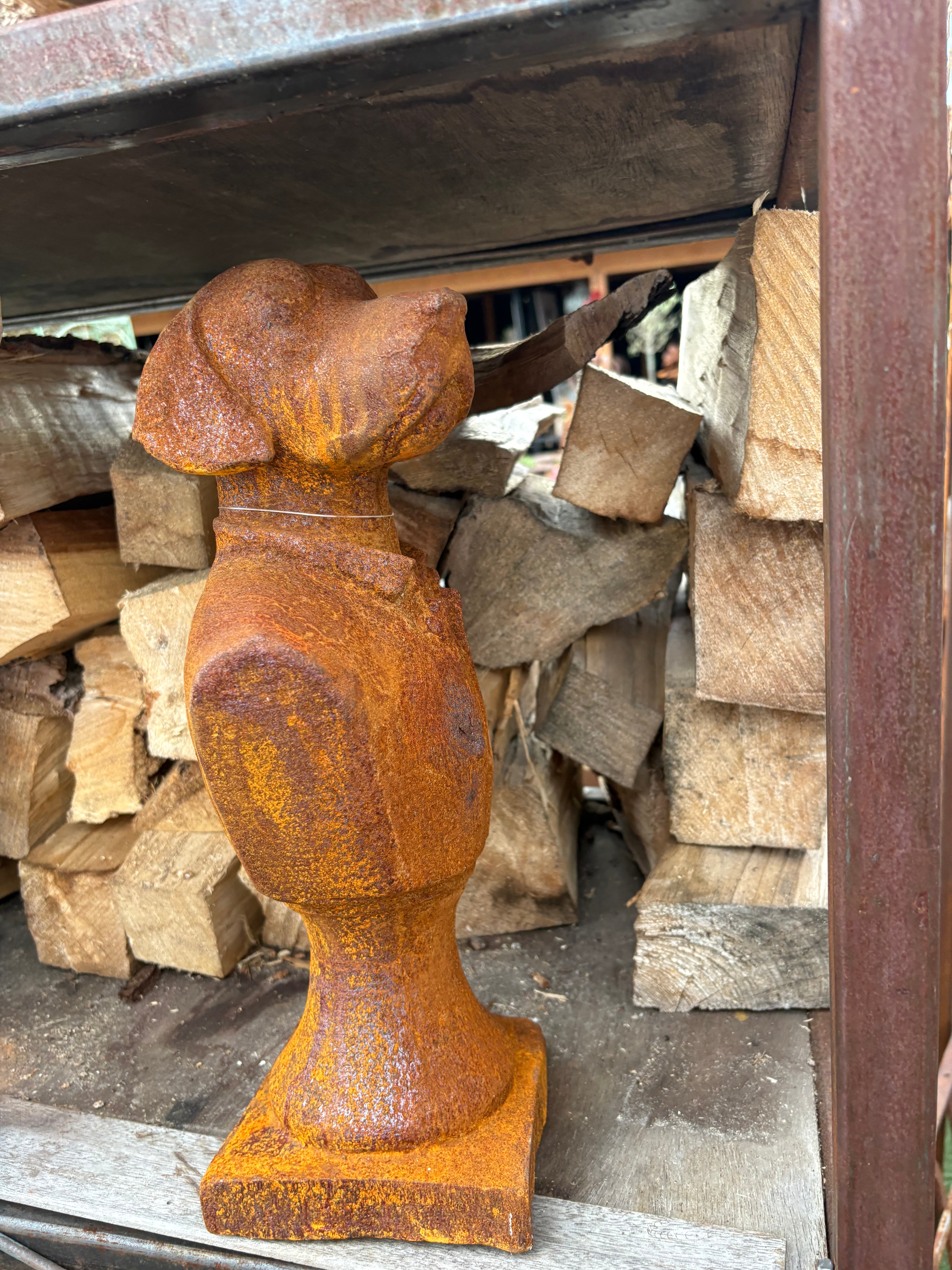 Buste hond groot gietijzer