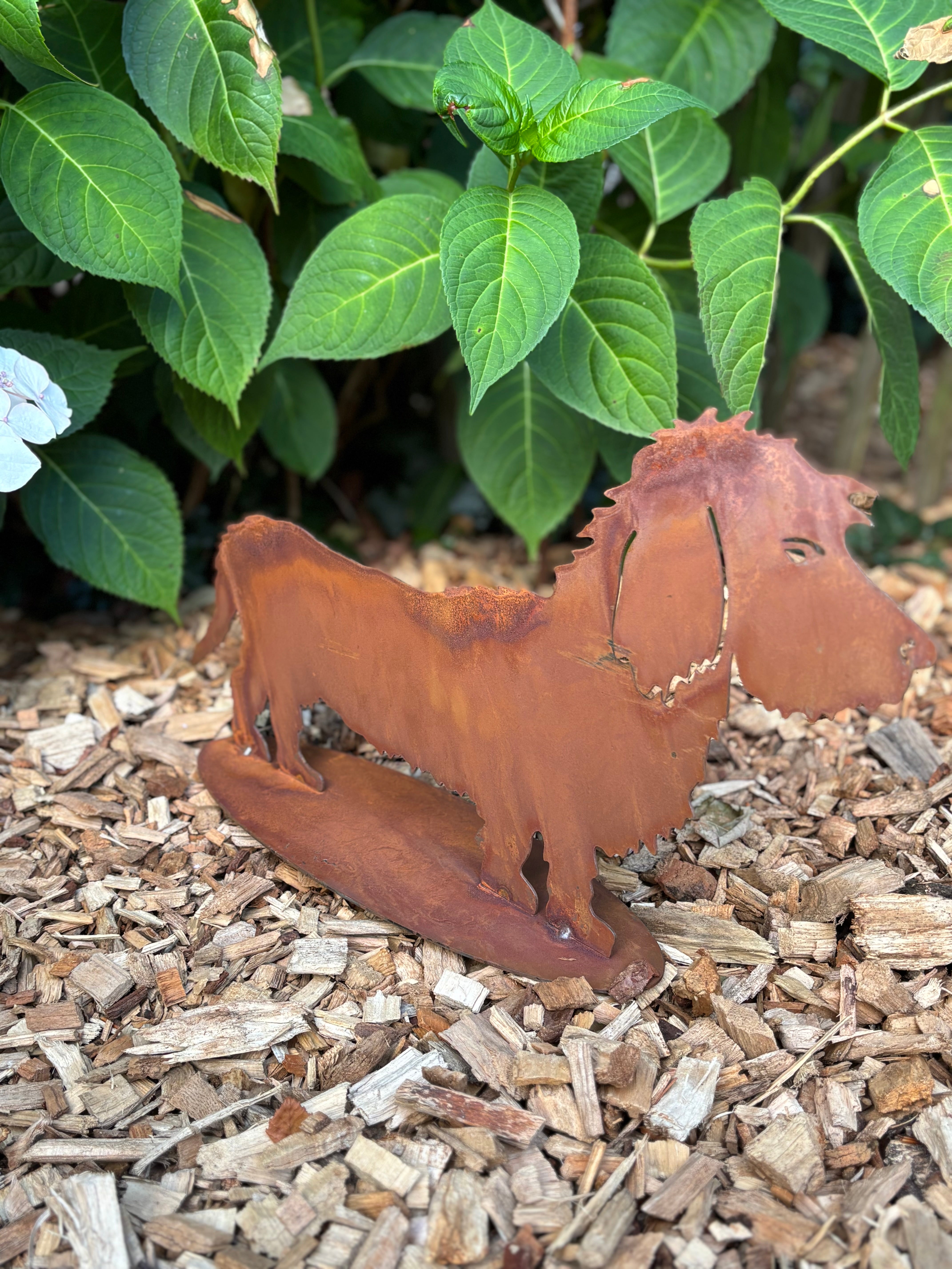 Ruwharige teckel/ hond op plaat van eco roest - Brocante bij Ingie