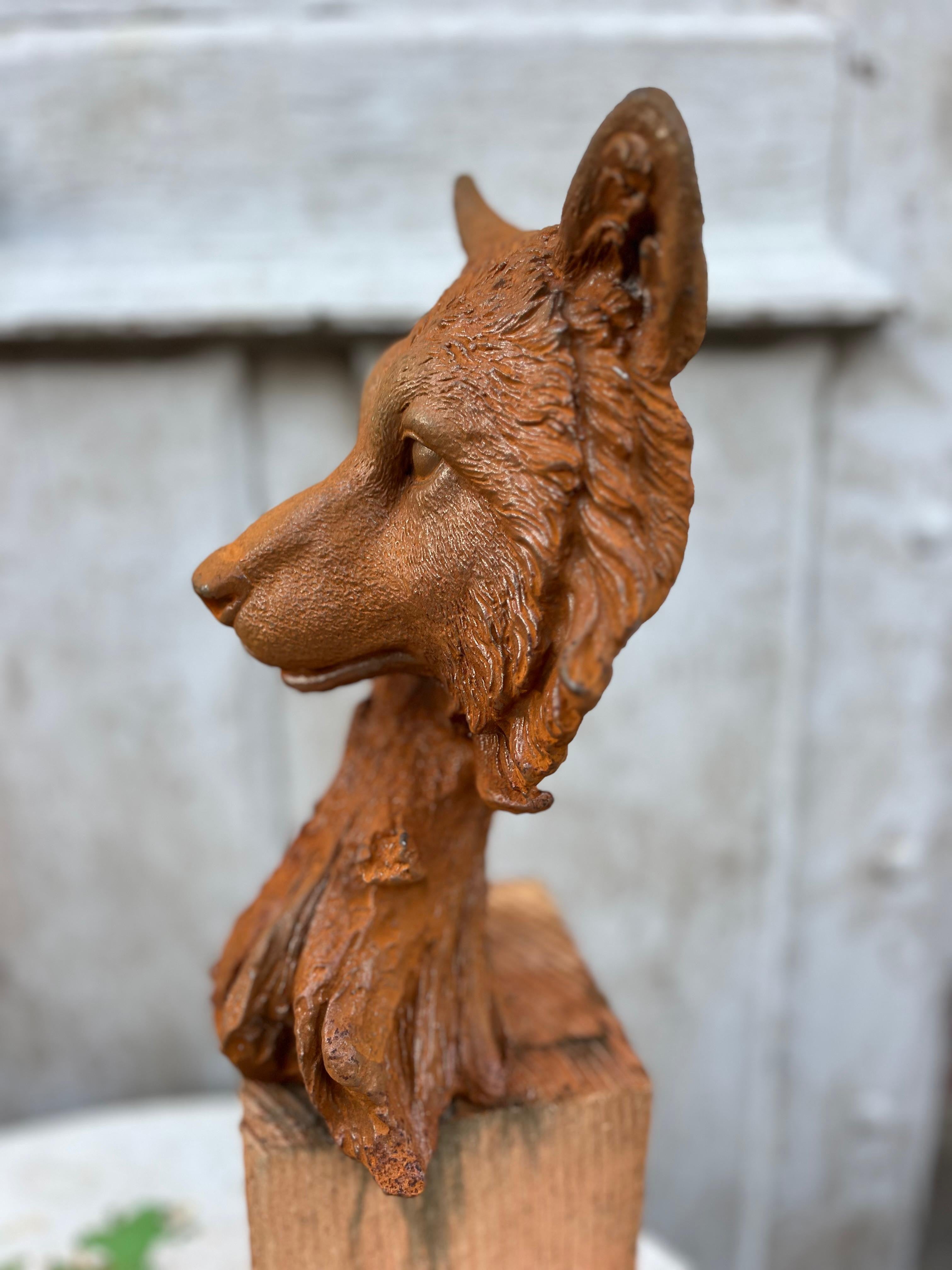 Buste wolf van gietijzer