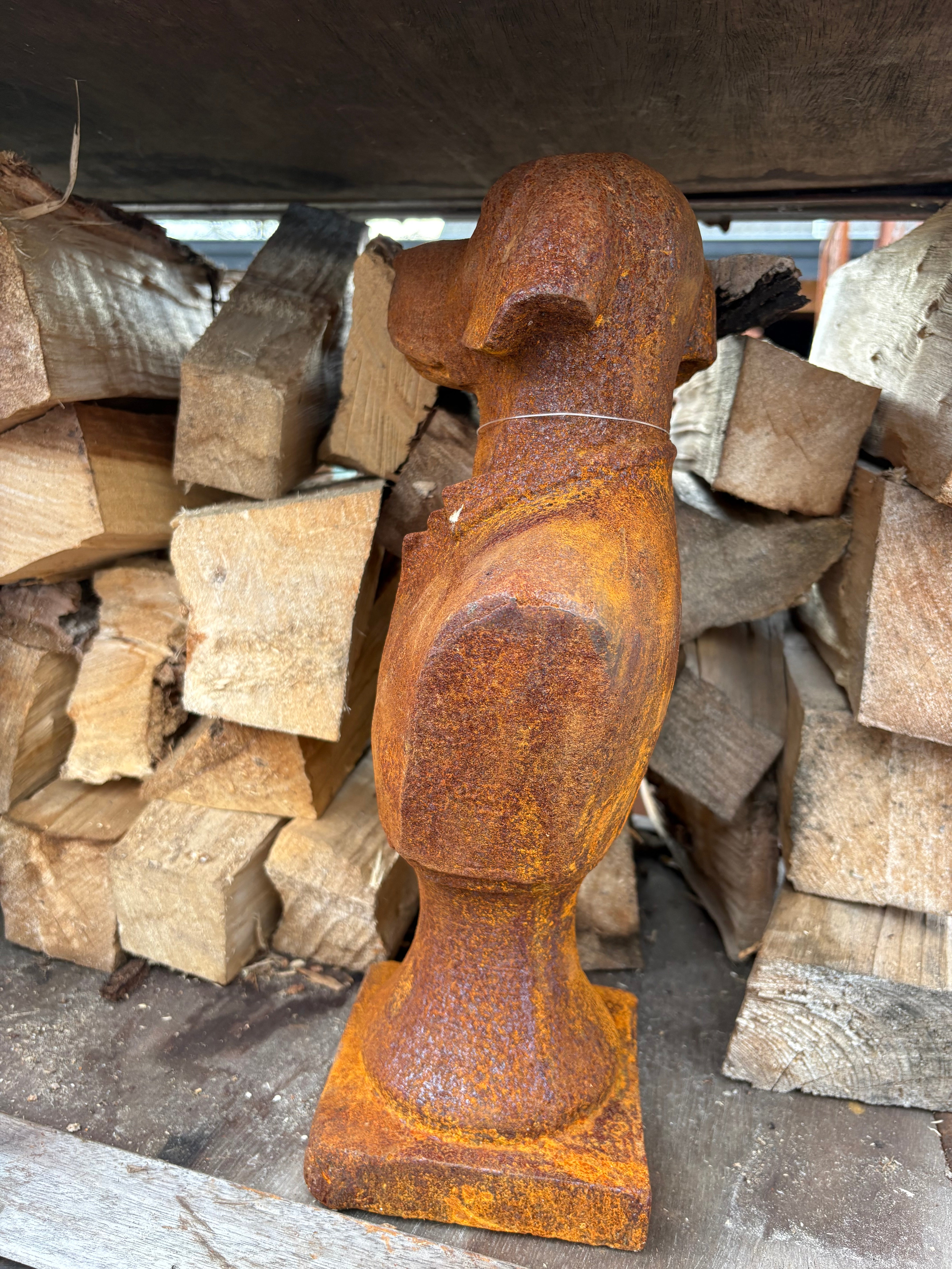 Buste hond groot gietijzer