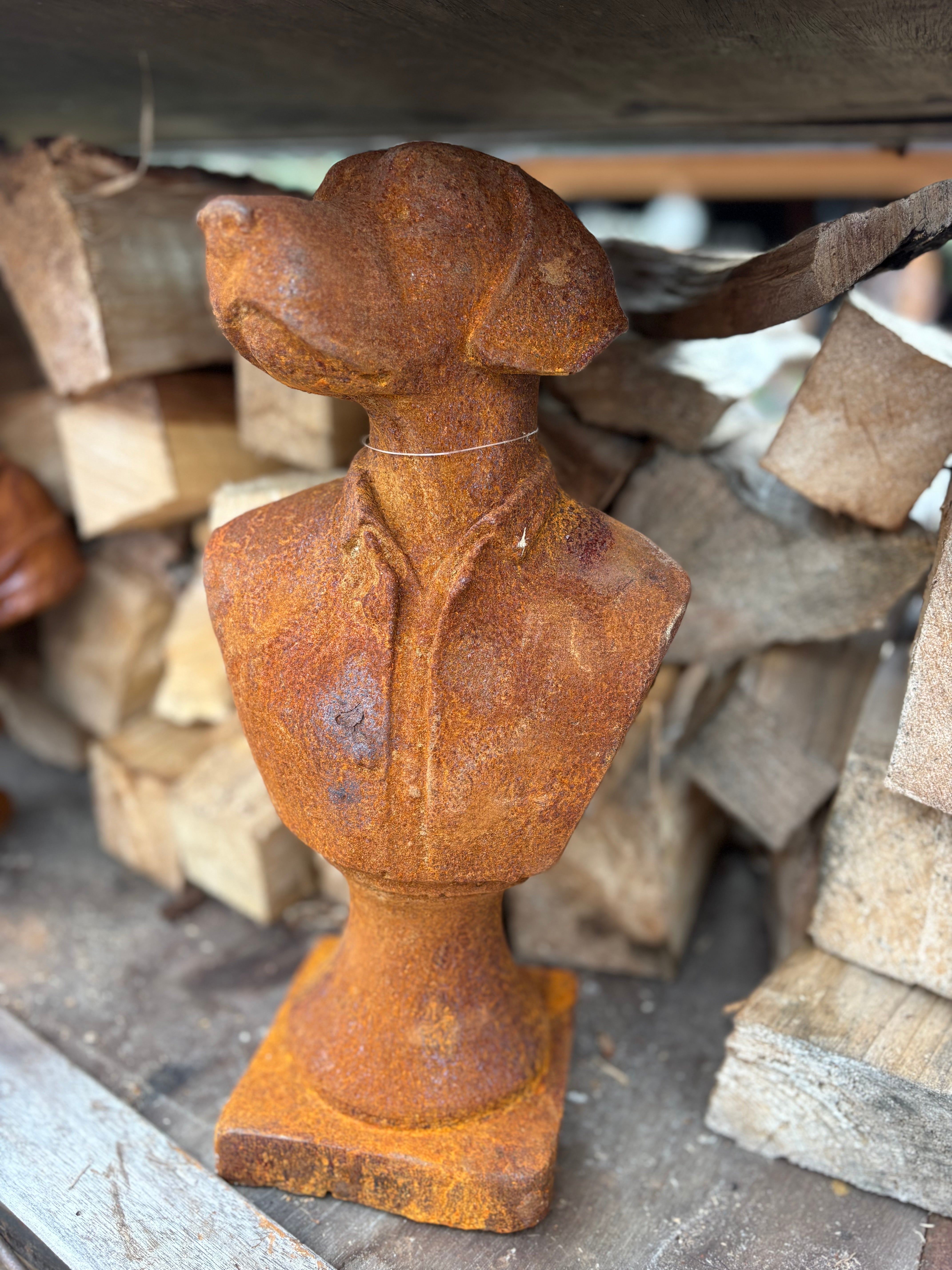 Buste hond groot gietijzer