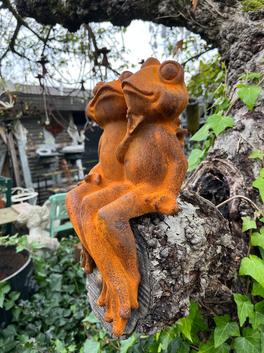 Geinig kikker duo van gietijzer groot - Brocante bij Ingie