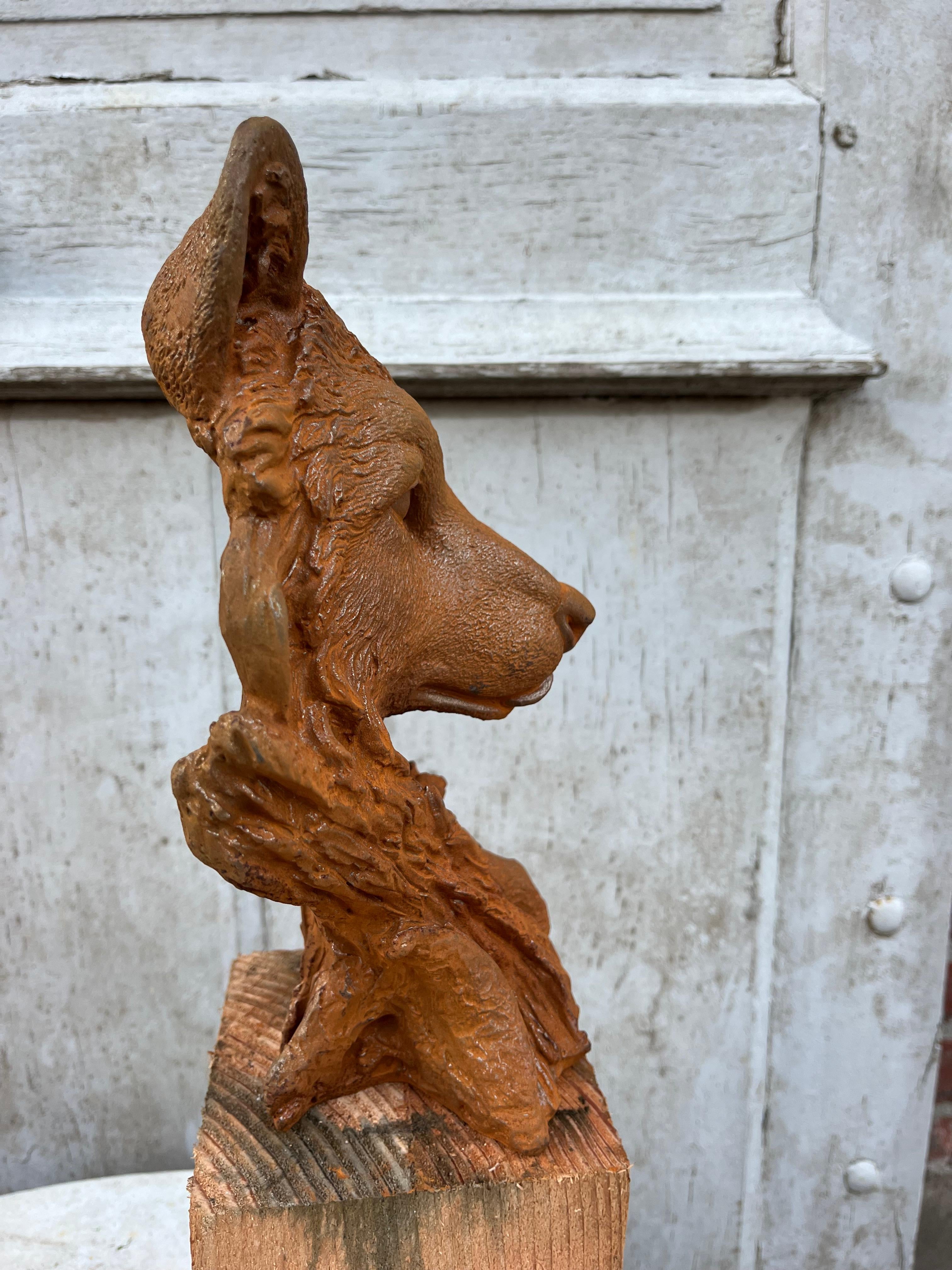 Buste wolf van gietijzer