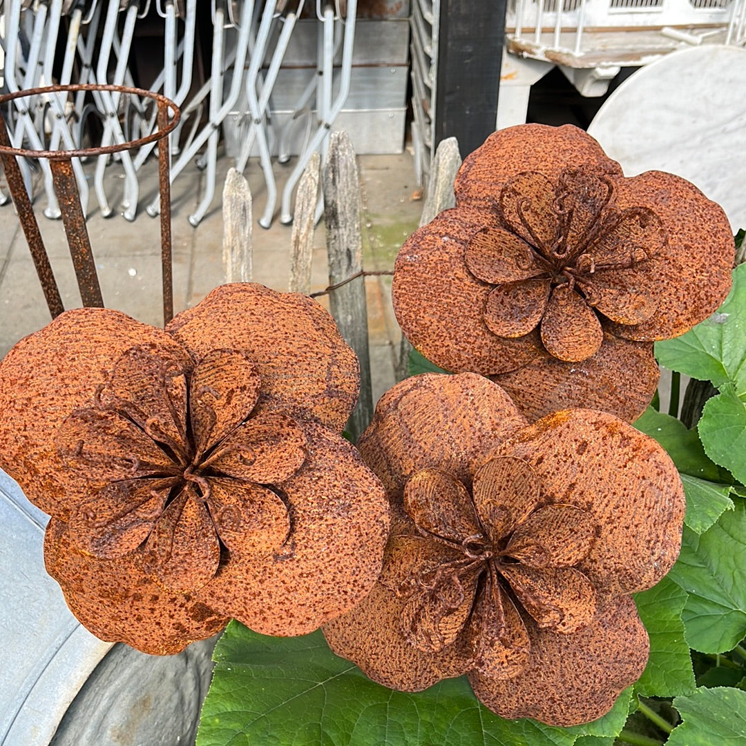 Set van 3 Roestbloem Boterbloem op tuinsteker - Brocante bij Ingie