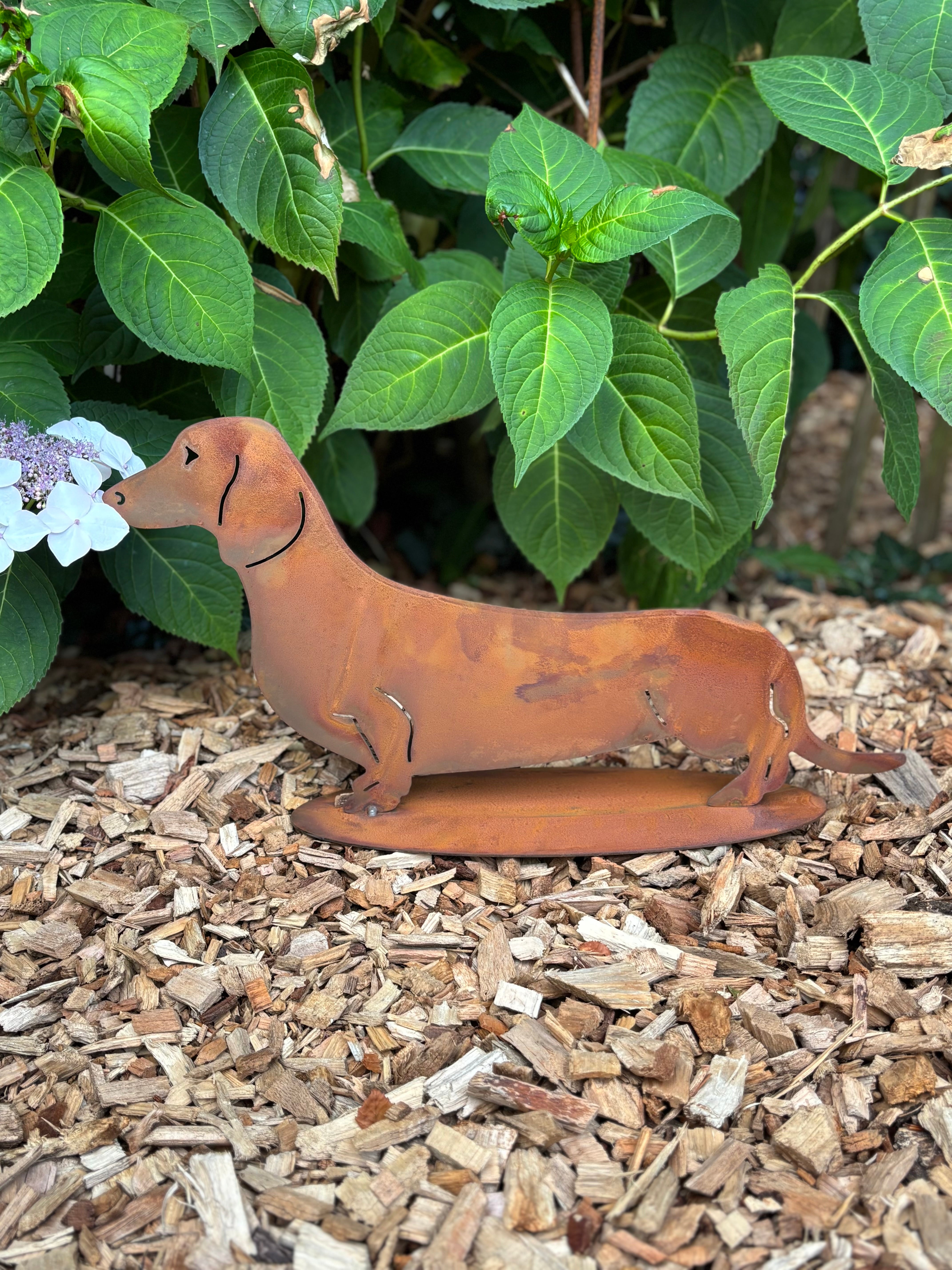 Gladde kleine teckel/ hond op plaat van eco roest - Brocante bij Ingie