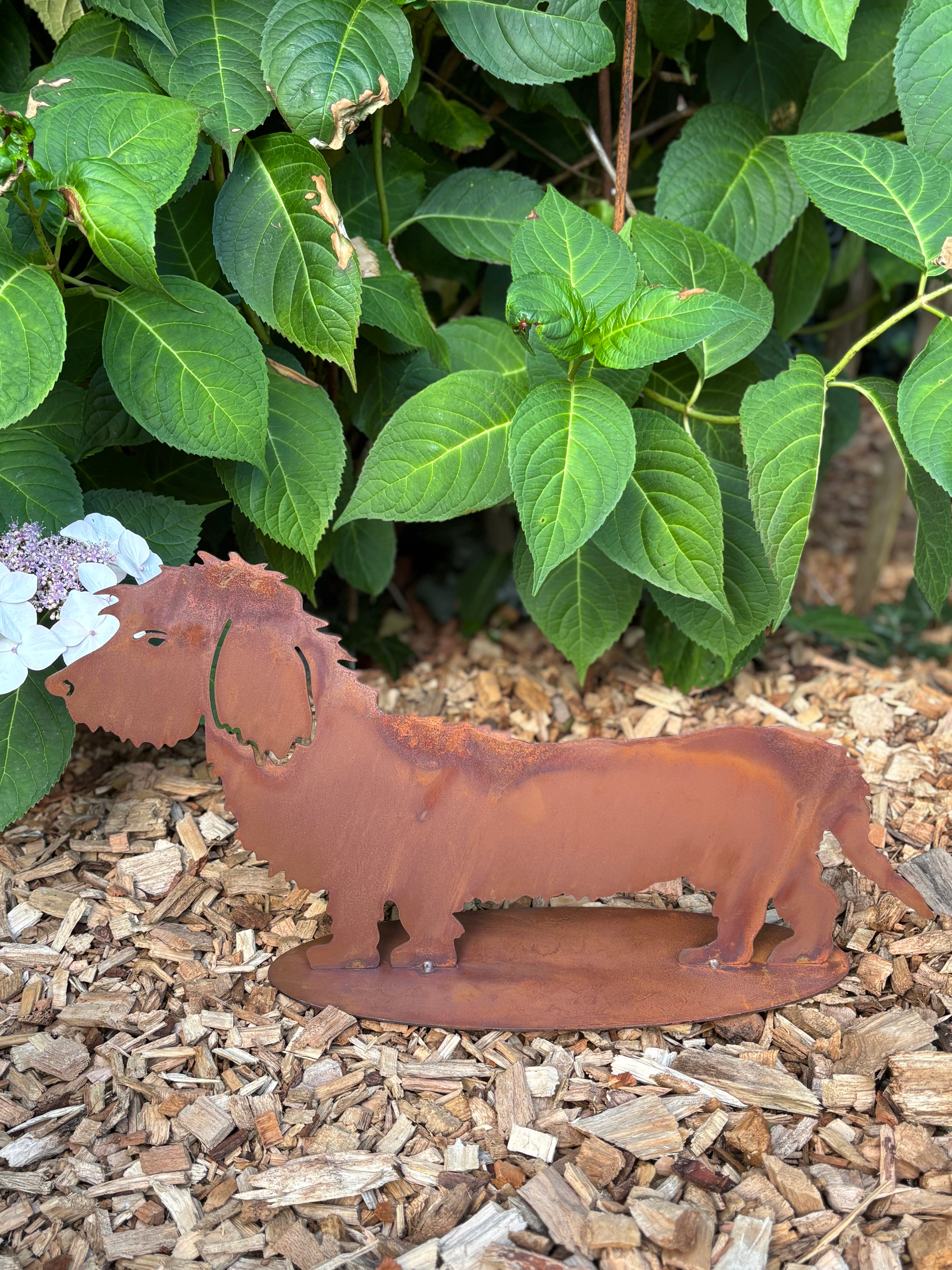 Ruwharige teckel/ hond op plaat van eco roest - Brocante bij Ingie