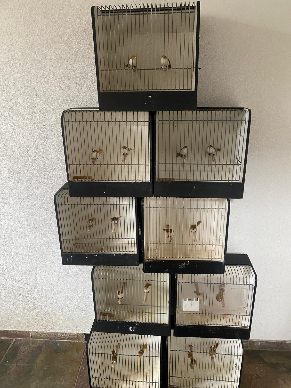 Vogelkooitje inclusief 2 nep vogels - Brocante bij Ingie