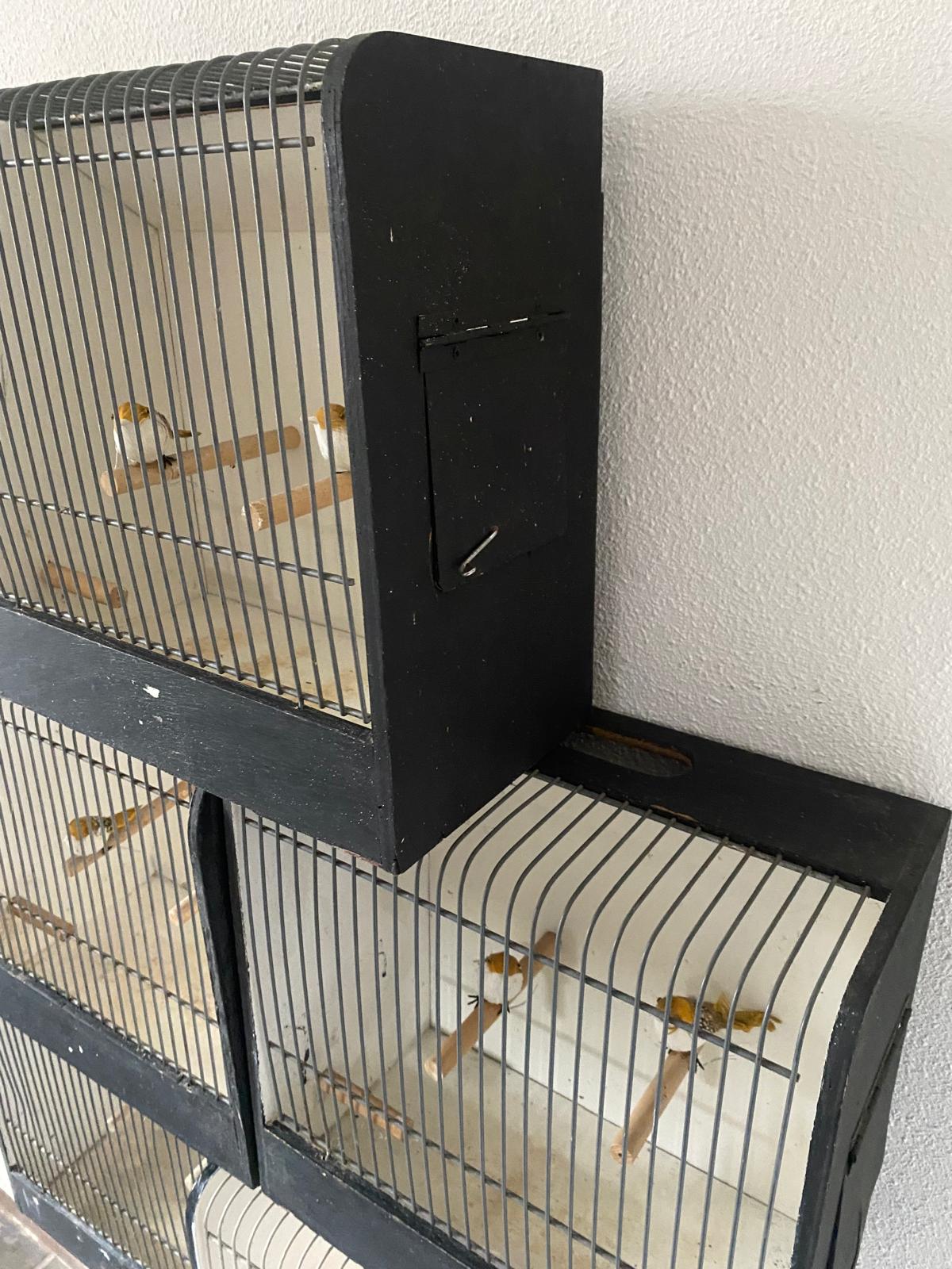 Vogelkooitje inclusief 2 nep vogels - Brocante bij Ingie