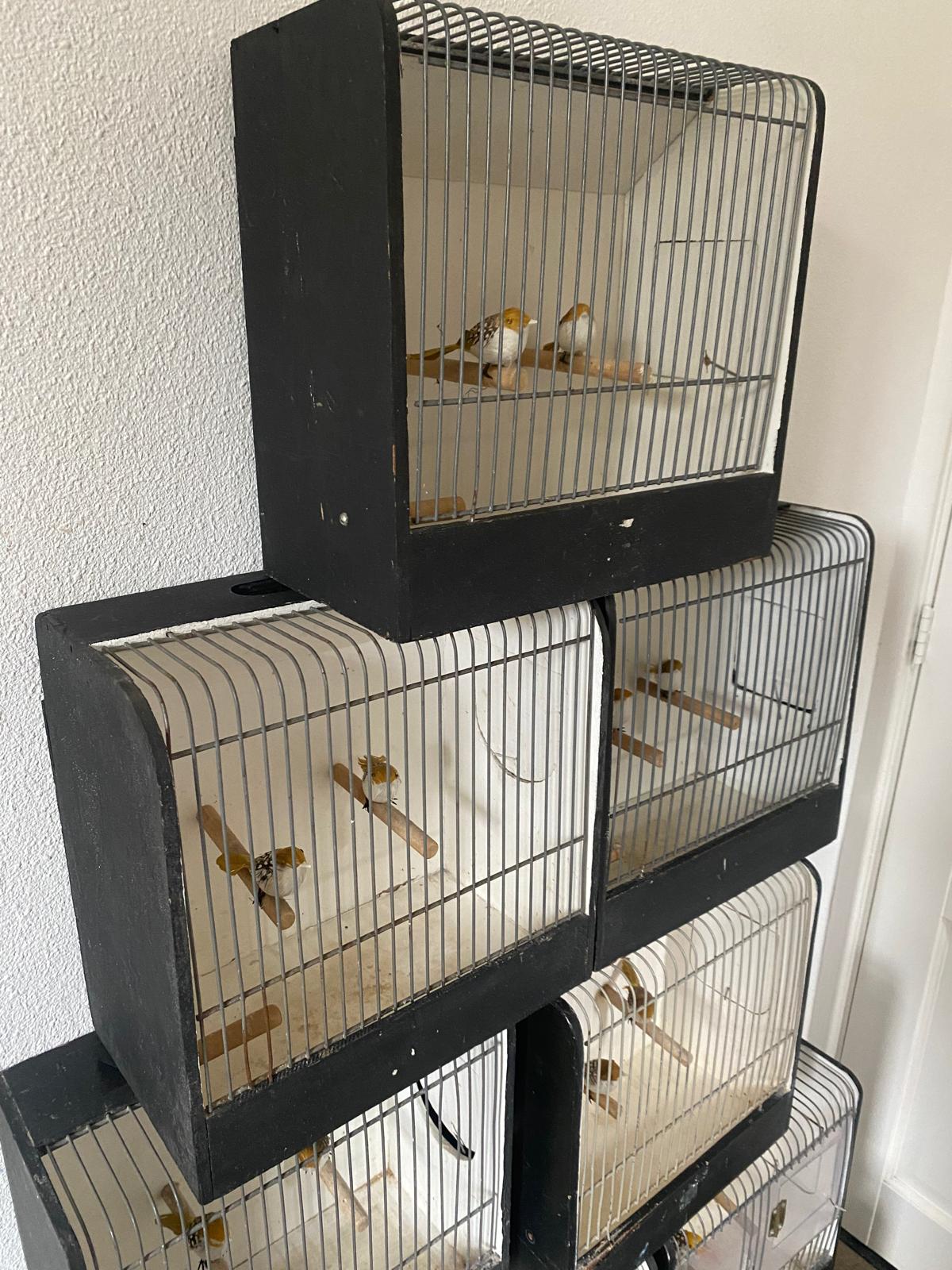Vogelkooitje inclusief 2 nep vogels - Brocante bij Ingie