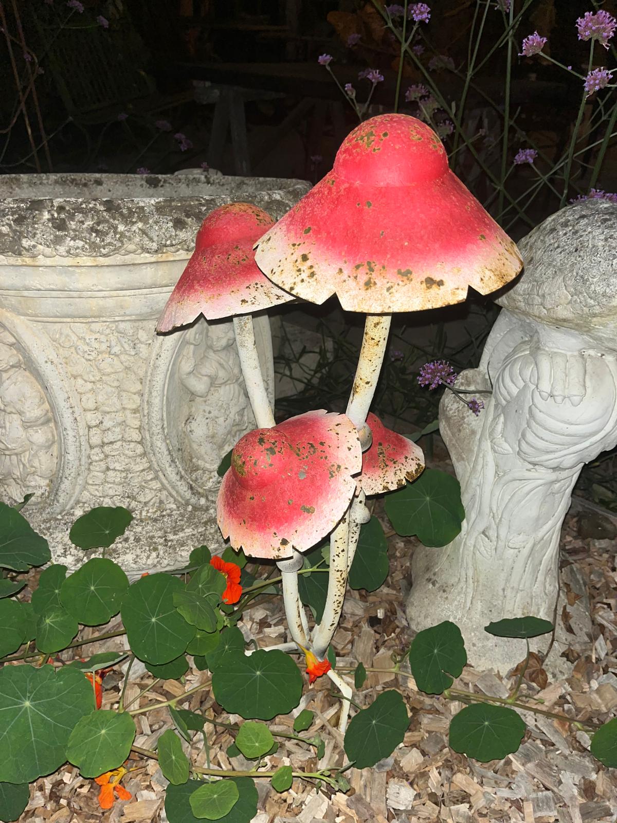 Paddenstoel rood op steker