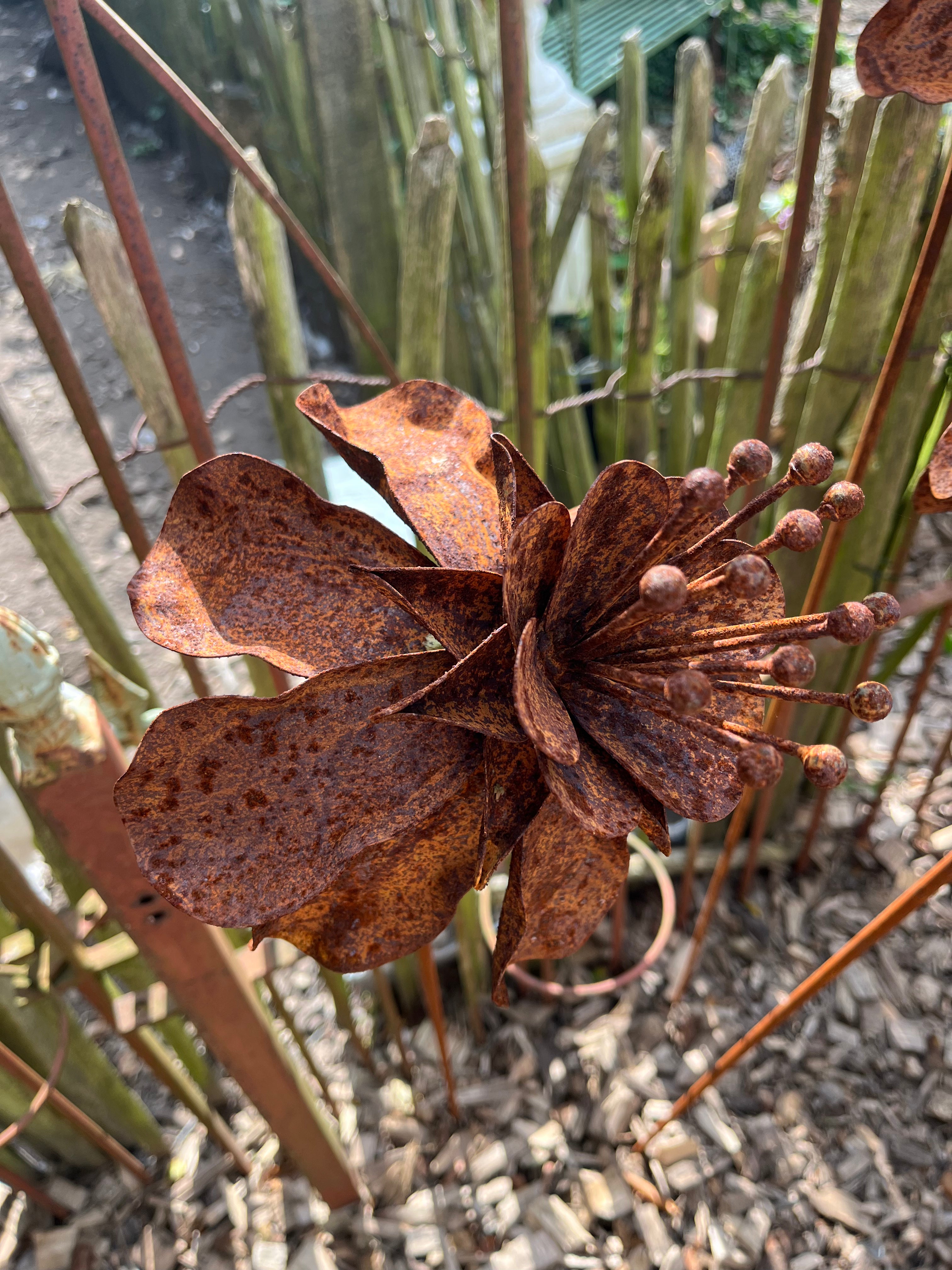 Set van 3 Roestbloem wilde orchidee op tuinsteker - Brocante bij Ingie