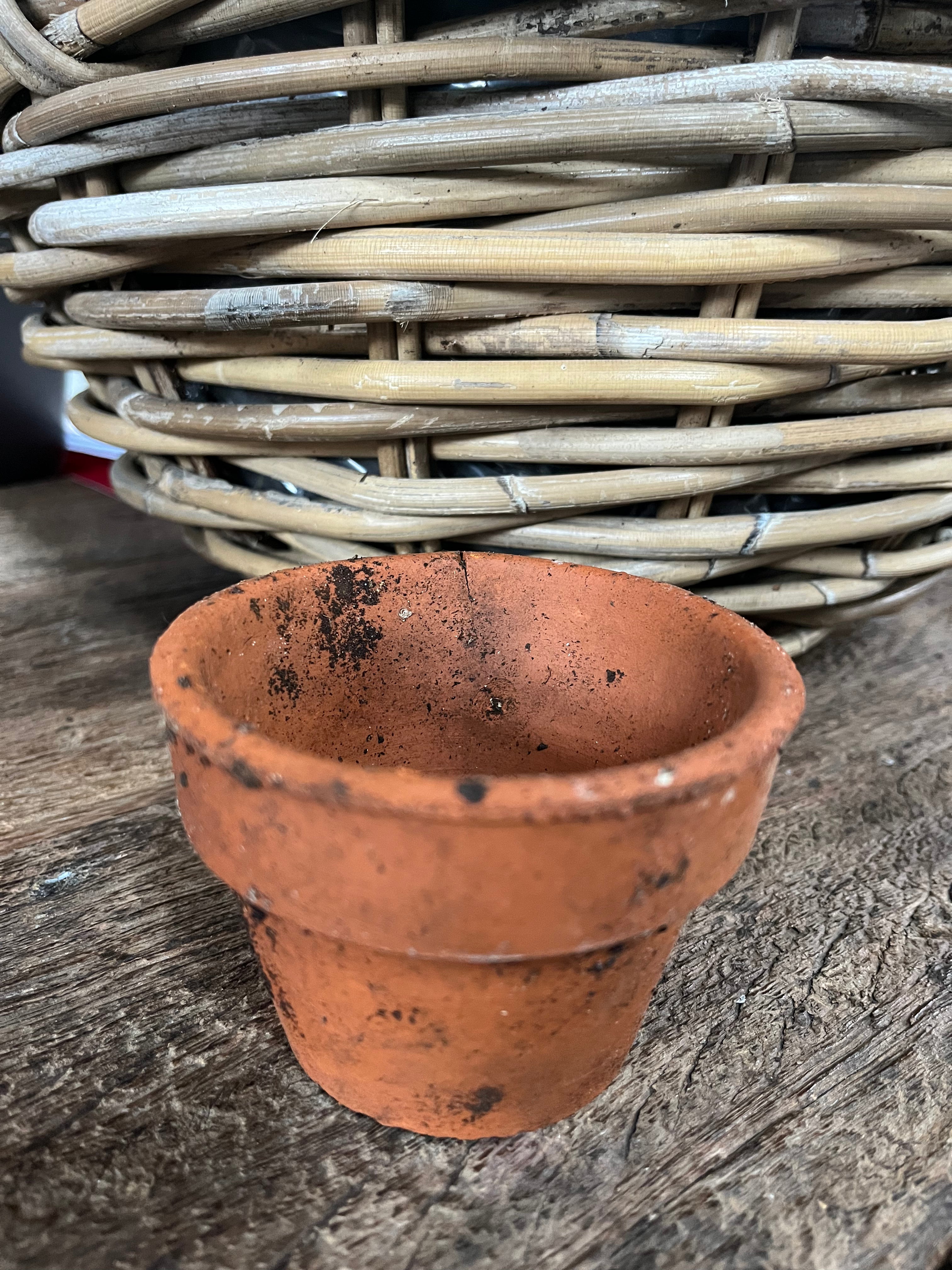 oude Terra Cotta potjes van orchideeën kwekerij! - Brocante bij Ingie