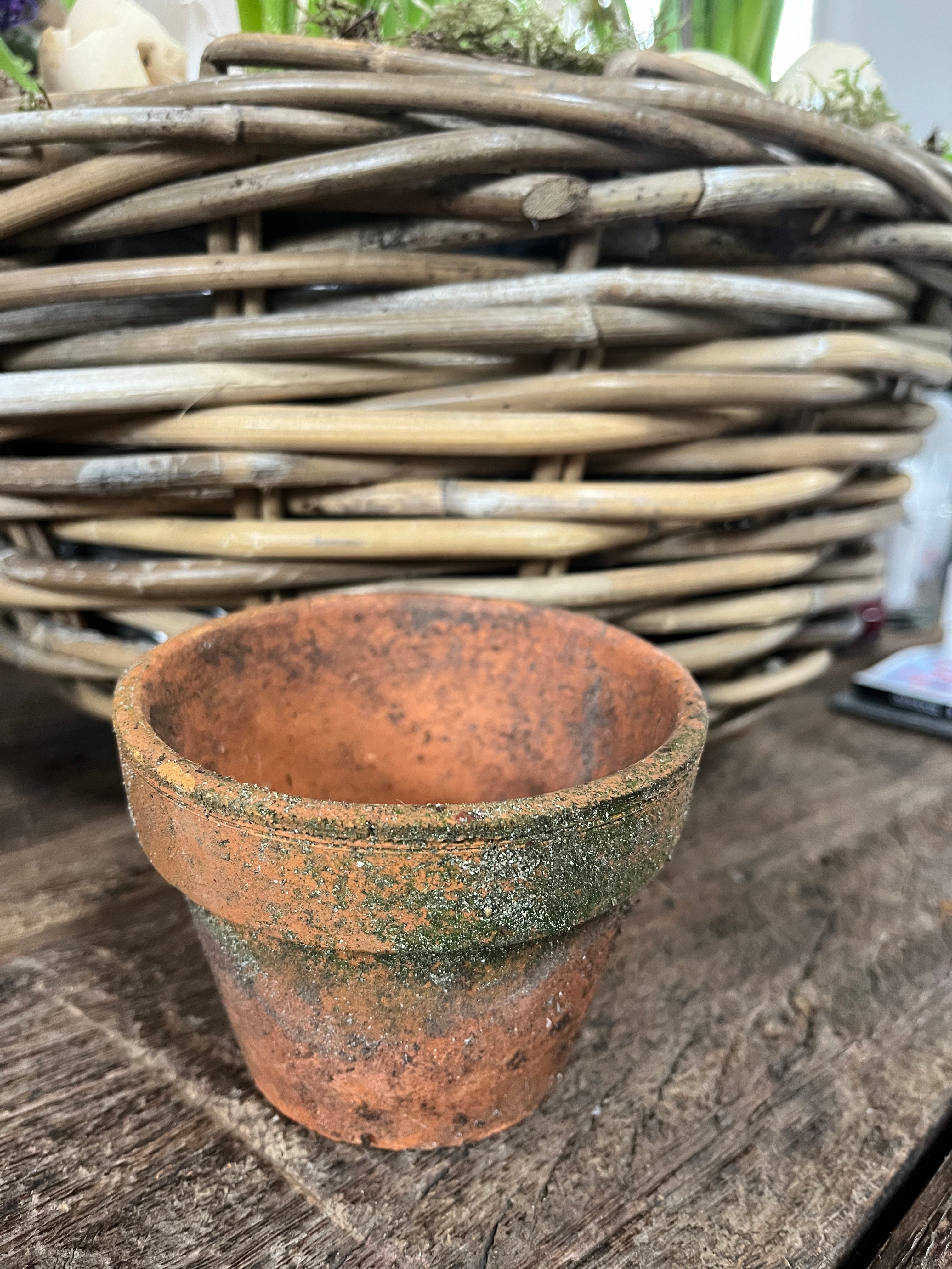 oude Terra Cotta potjes van orchideeën kwekerij! - Brocante bij Ingie