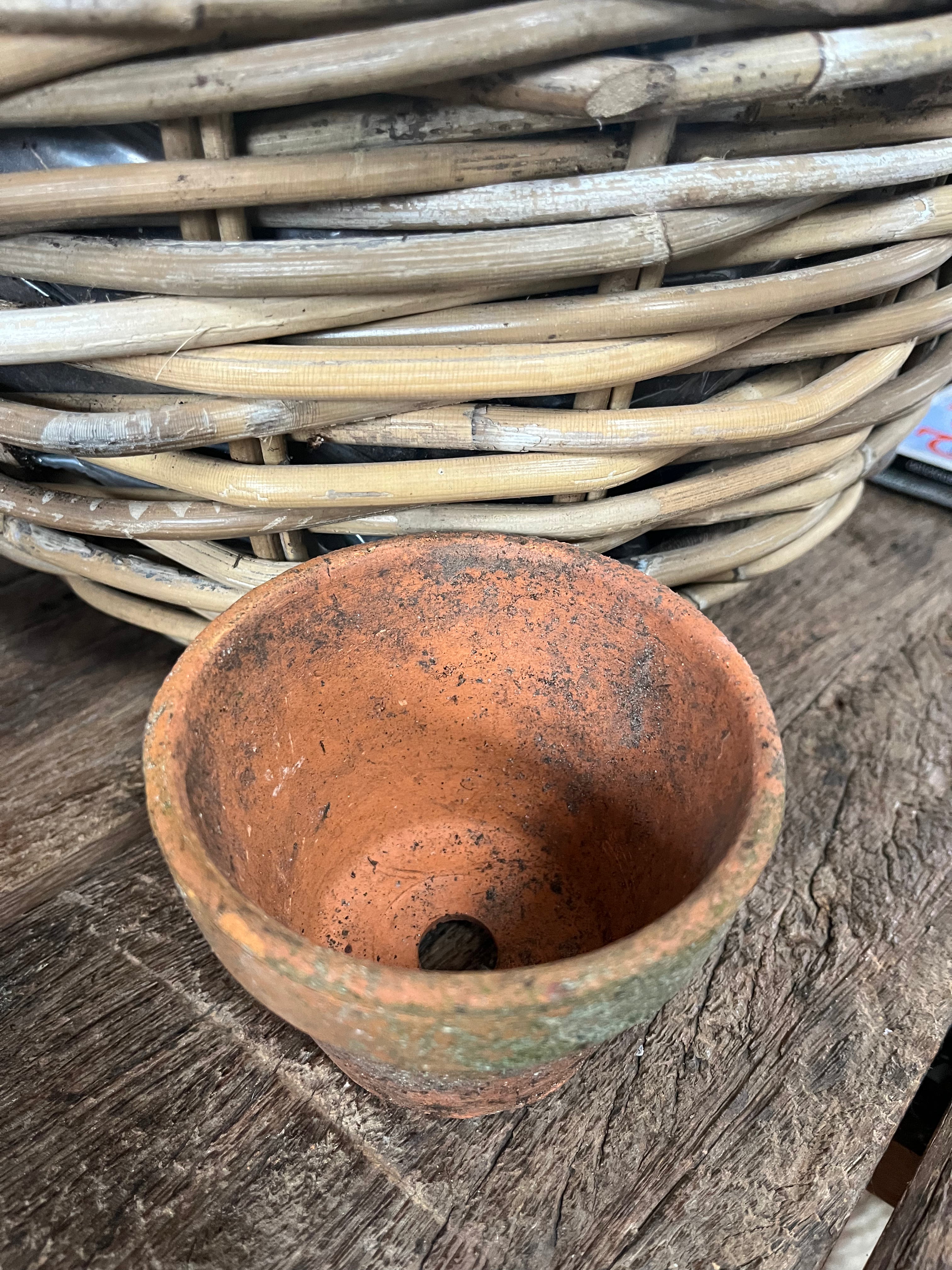 oude Terra Cotta potjes van orchideeën kwekerij! - Brocante bij Ingie