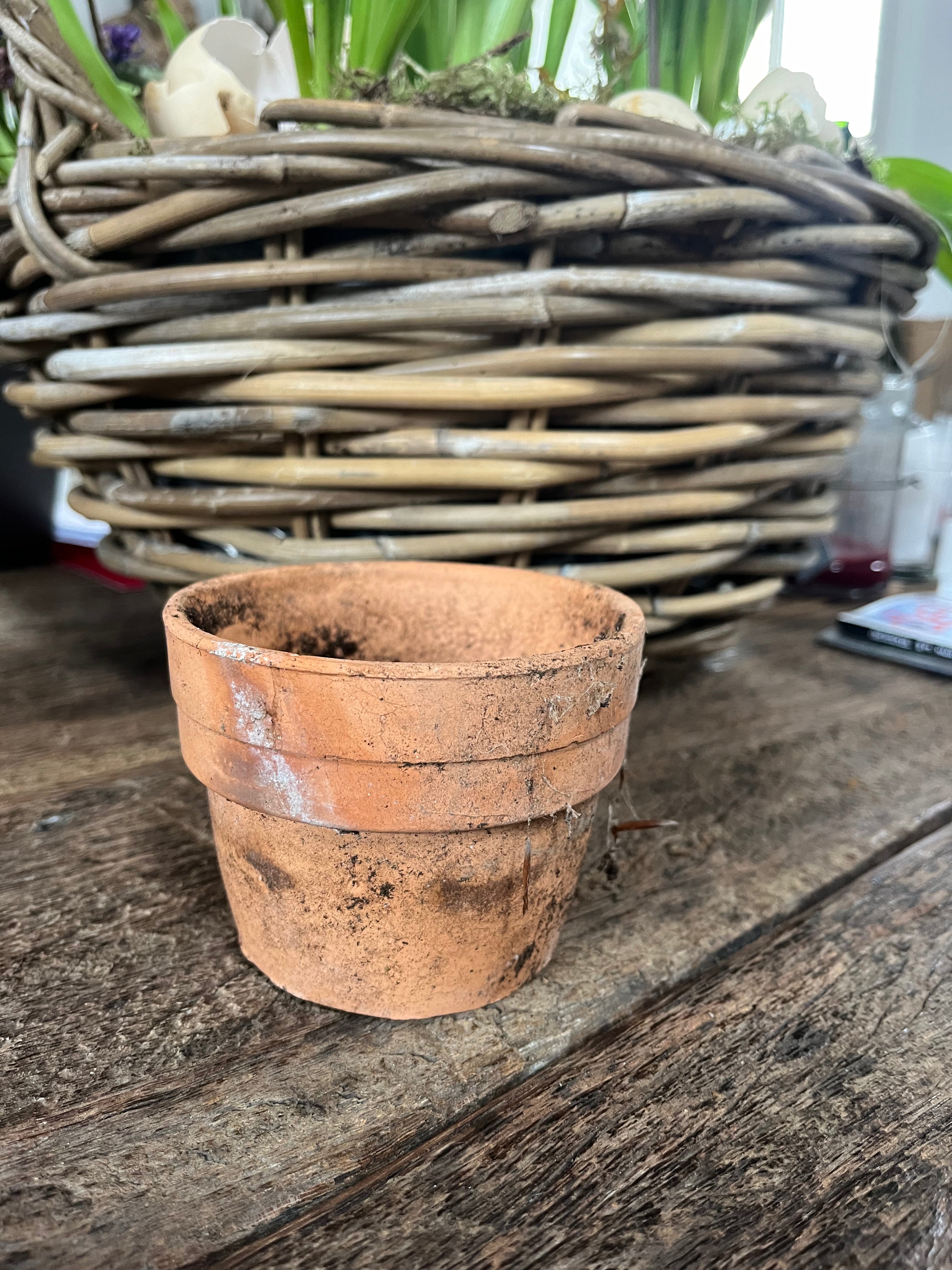 oude Terra Cotta potjes van orchideeën kwekerij! - Brocante bij Ingie