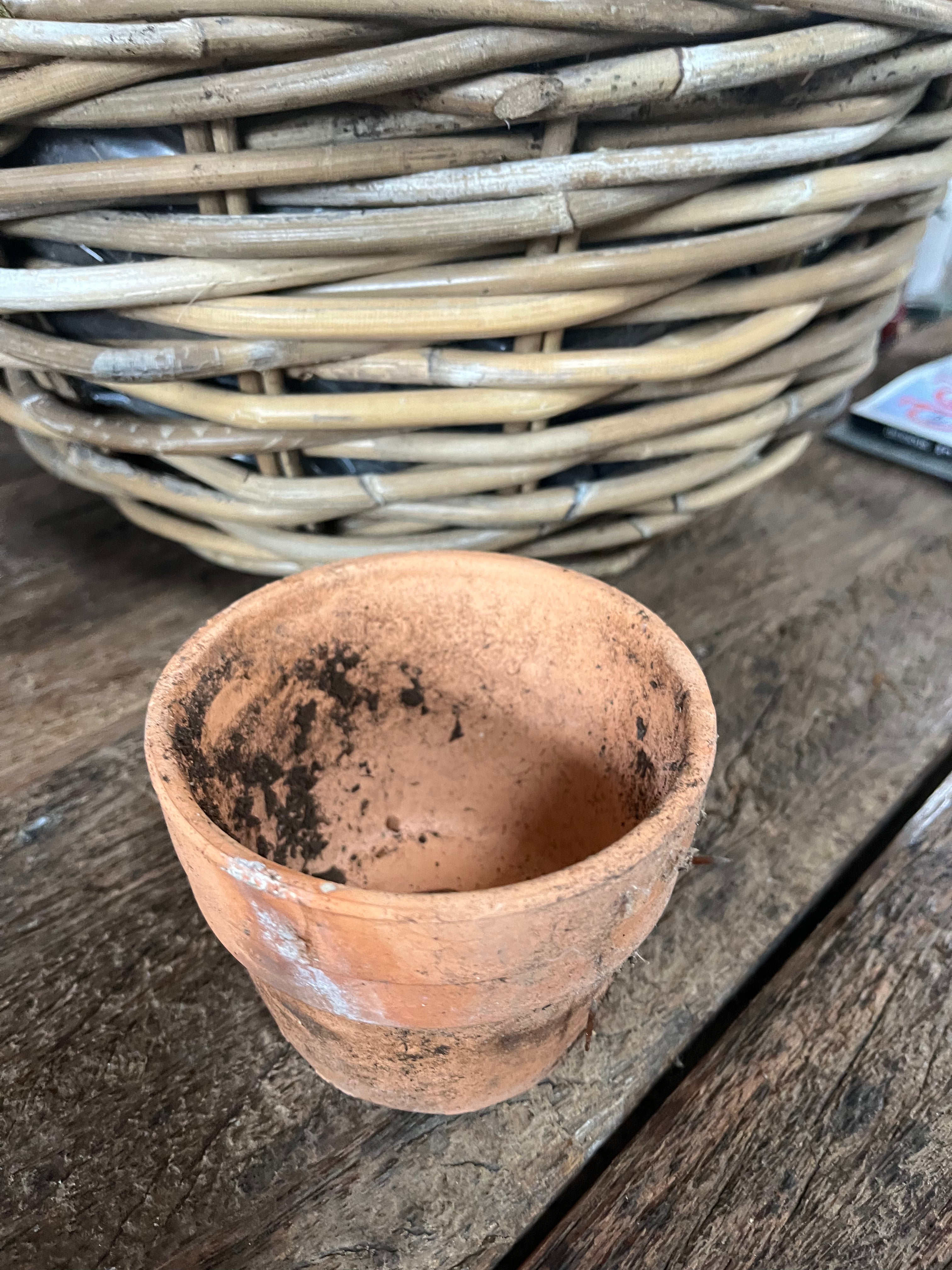 oude Terra Cotta potjes van orchideeën kwekerij! - Brocante bij Ingie