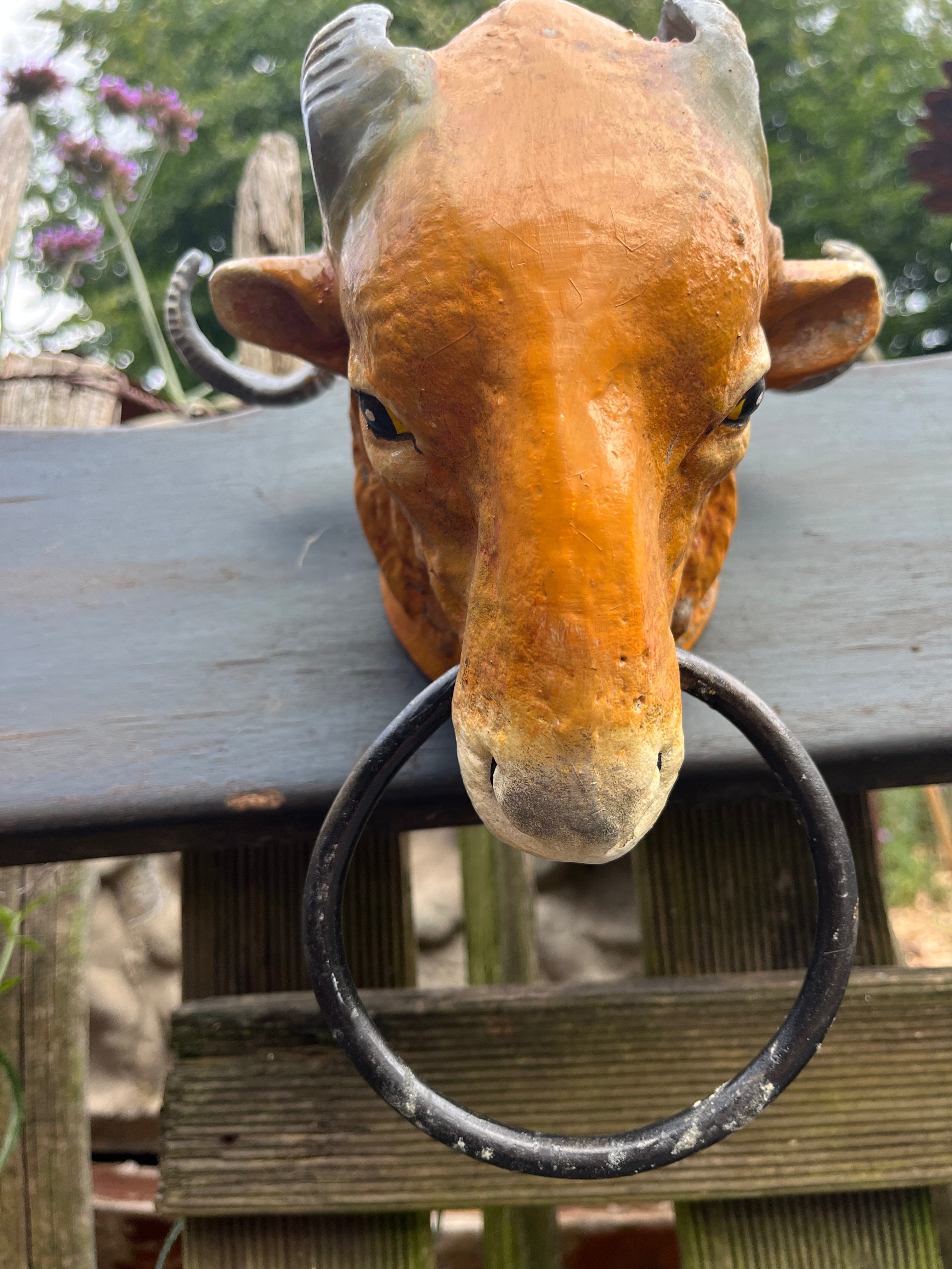 Ram kop van zwaar gietijzer met handdoek ring - Brocante bij Ingie