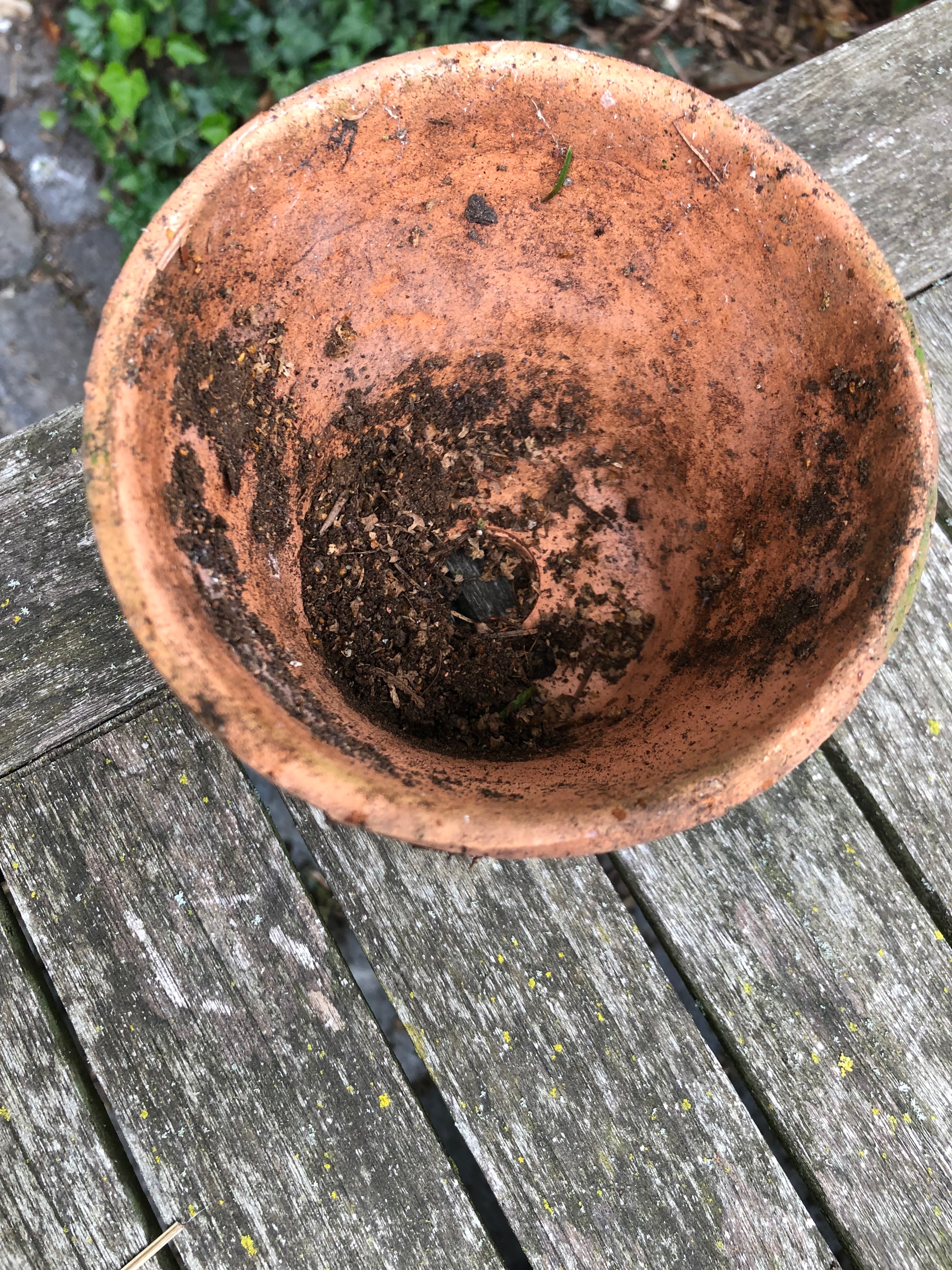 oude Terra Cotta potjes van orchideeën kwekerij! - Brocante bij Ingie