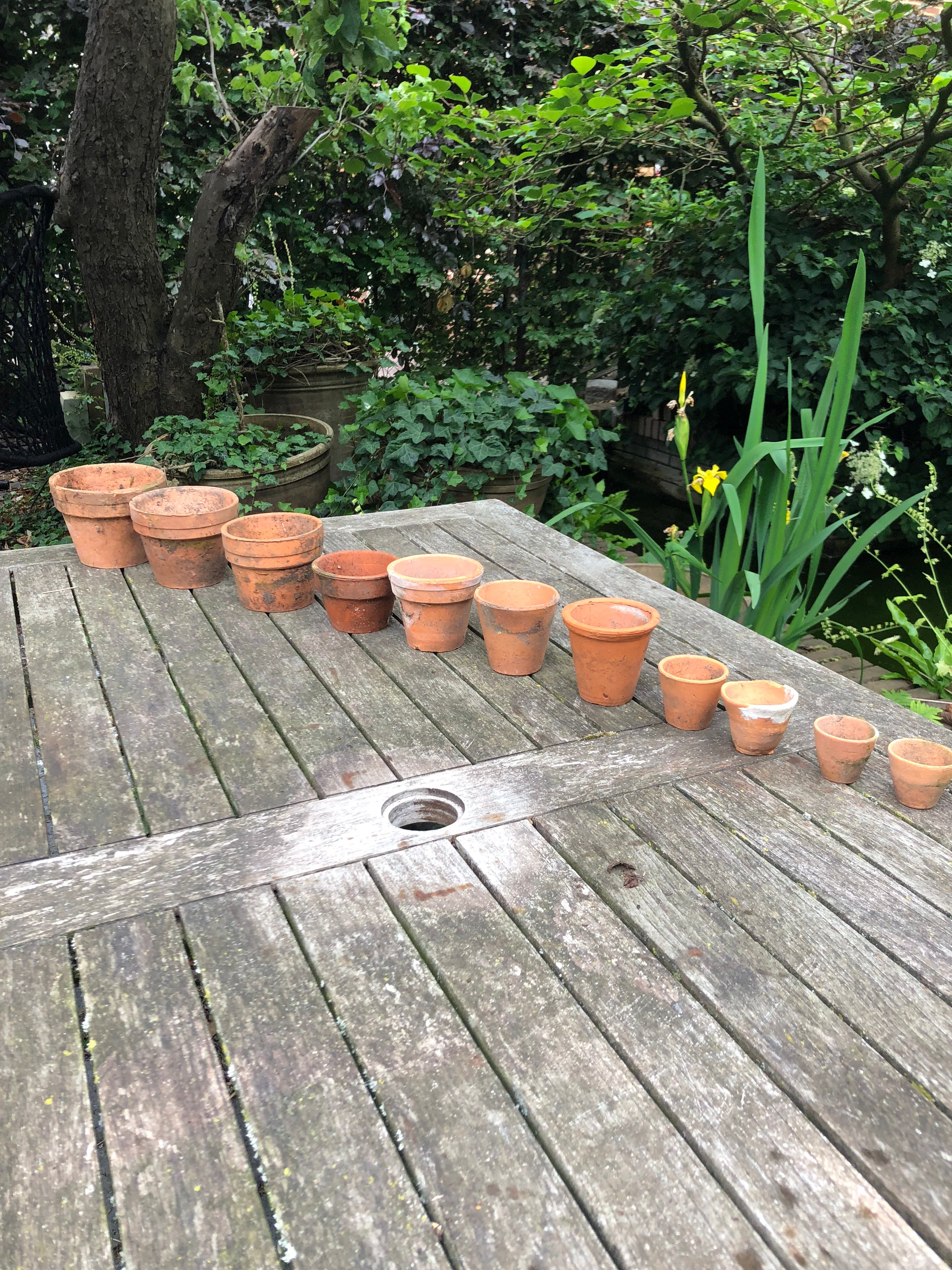 oude Terra Cotta potjes van orchideeën kwekerij! - Brocante bij Ingie