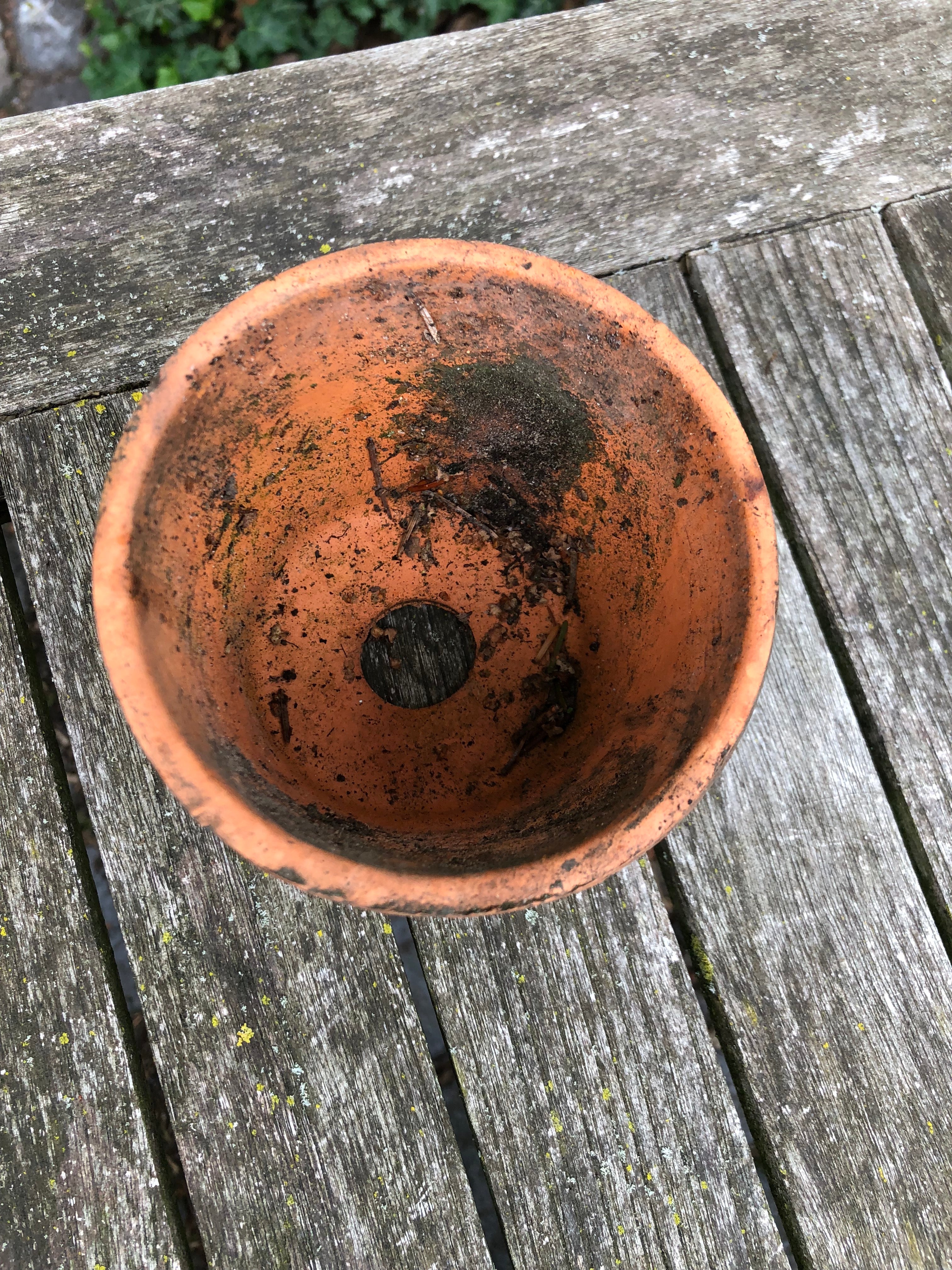 oude Terra Cotta potjes van orchideeën kwekerij! - Brocante bij Ingie