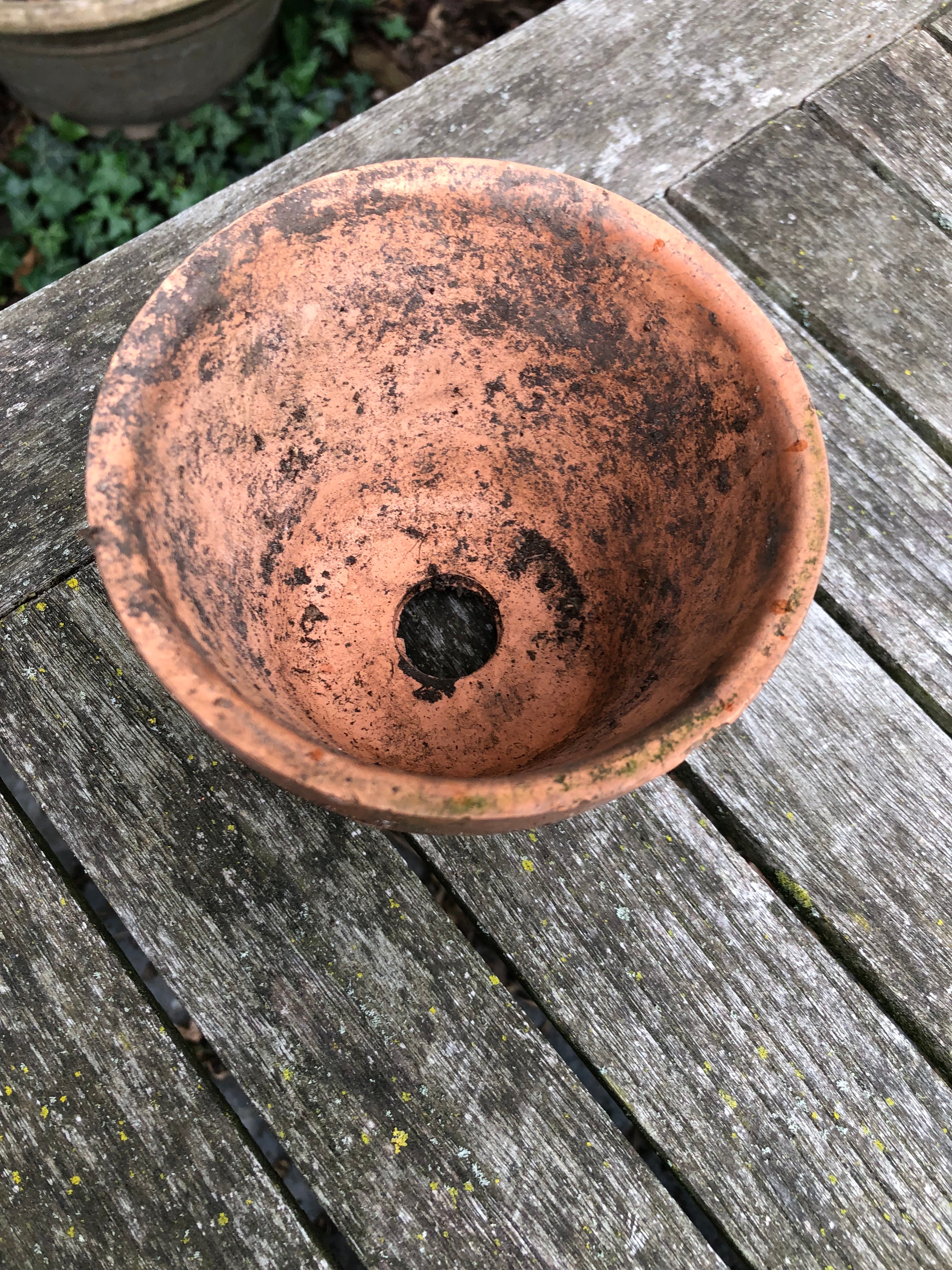 oude Terra Cotta potjes van orchideeën kwekerij! - Brocante bij Ingie