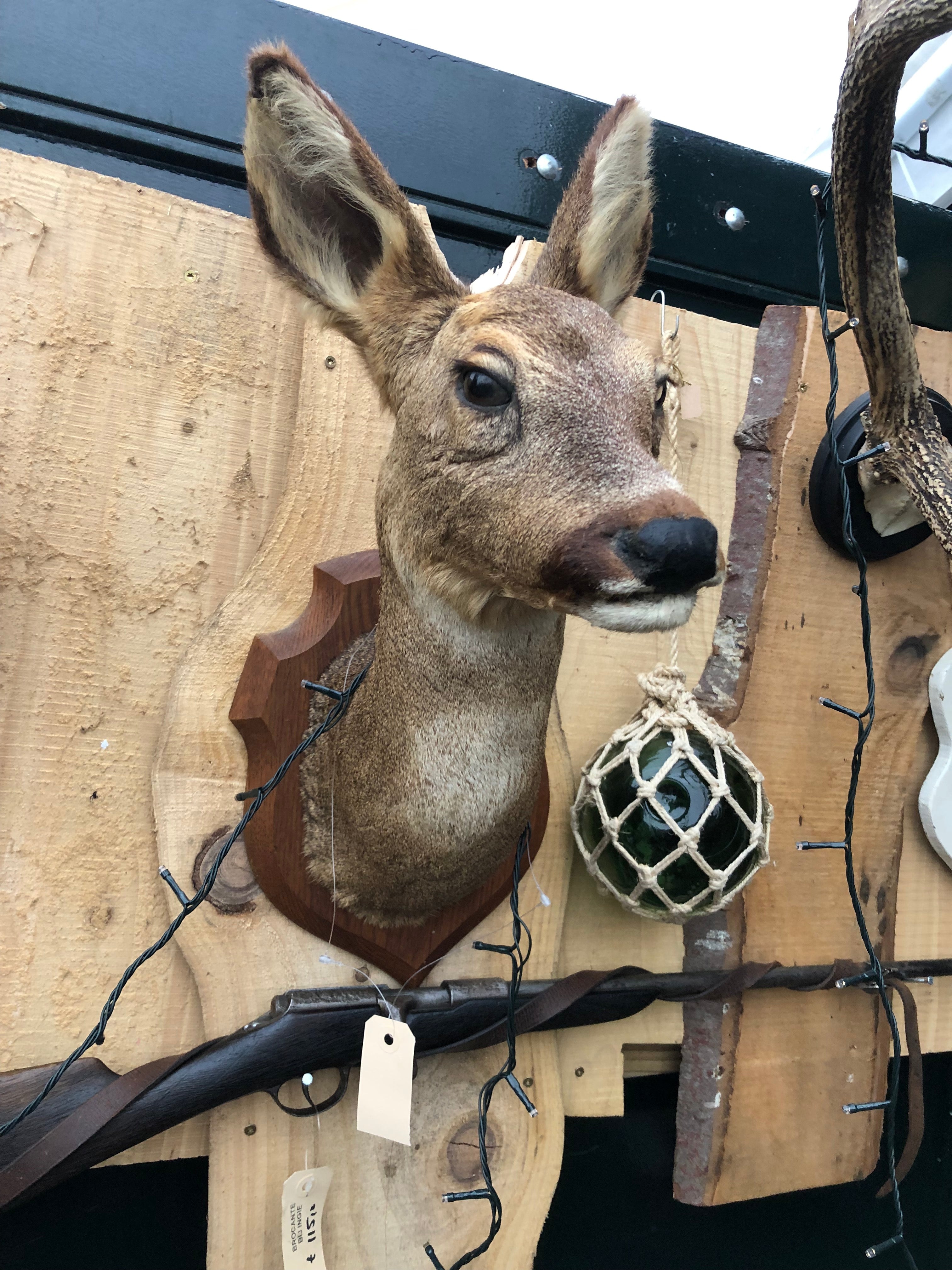 opgezet Hinde kopje - Brocante bij Ingie