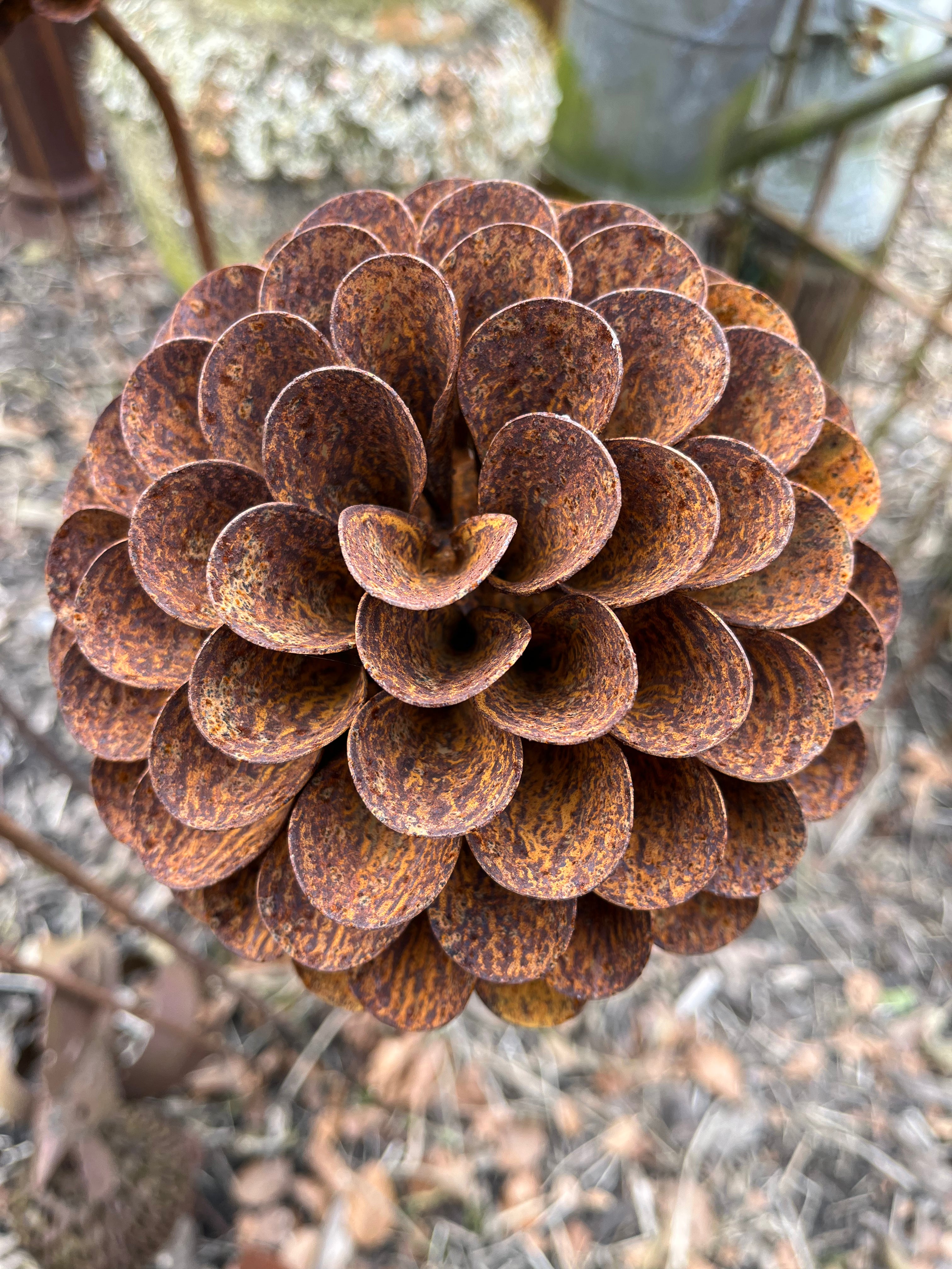 Roestbloem pompoen dahlia - Brocante bij Ingie
