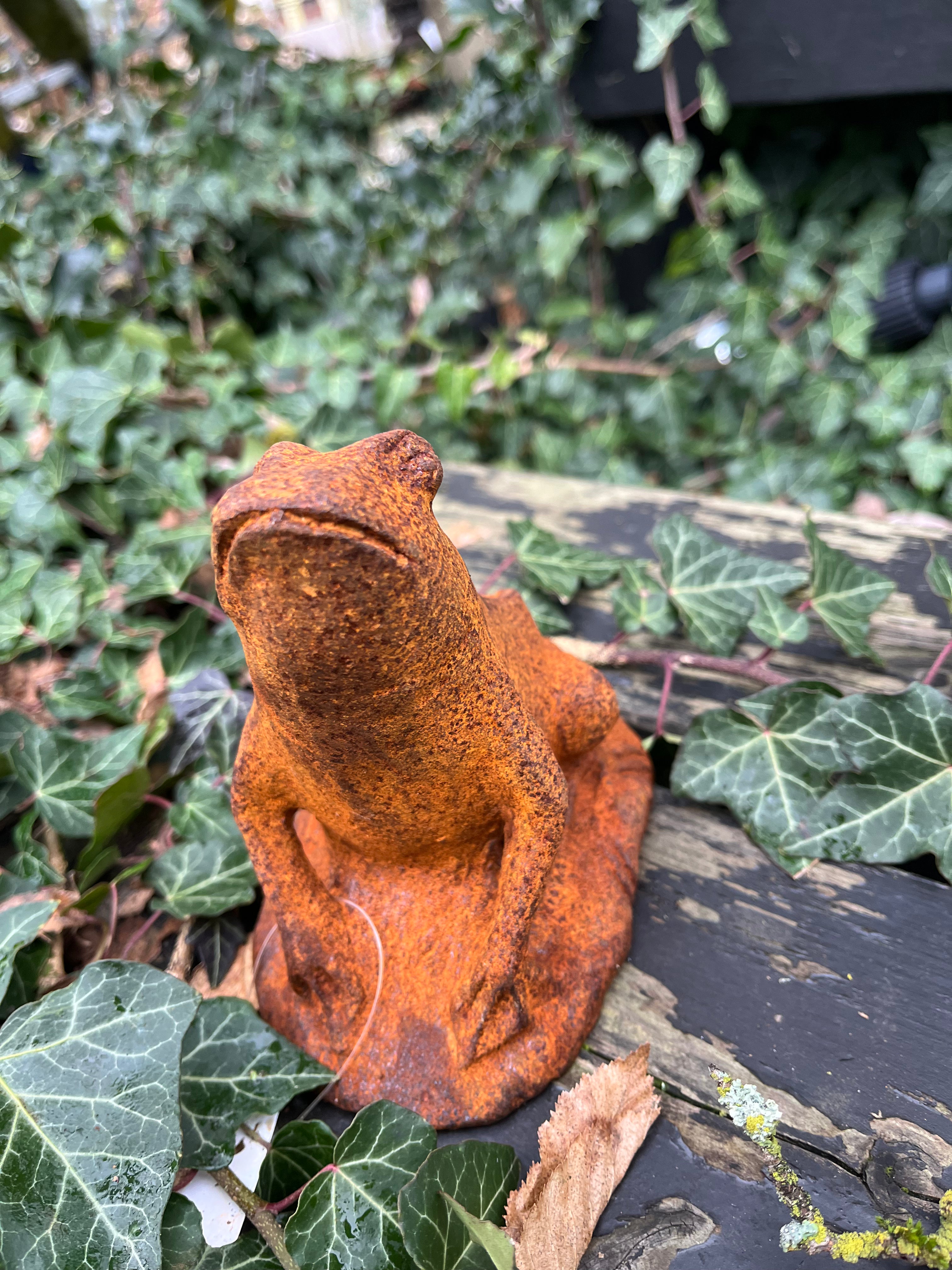 Kikker van gietijzer - Brocante bij Ingie