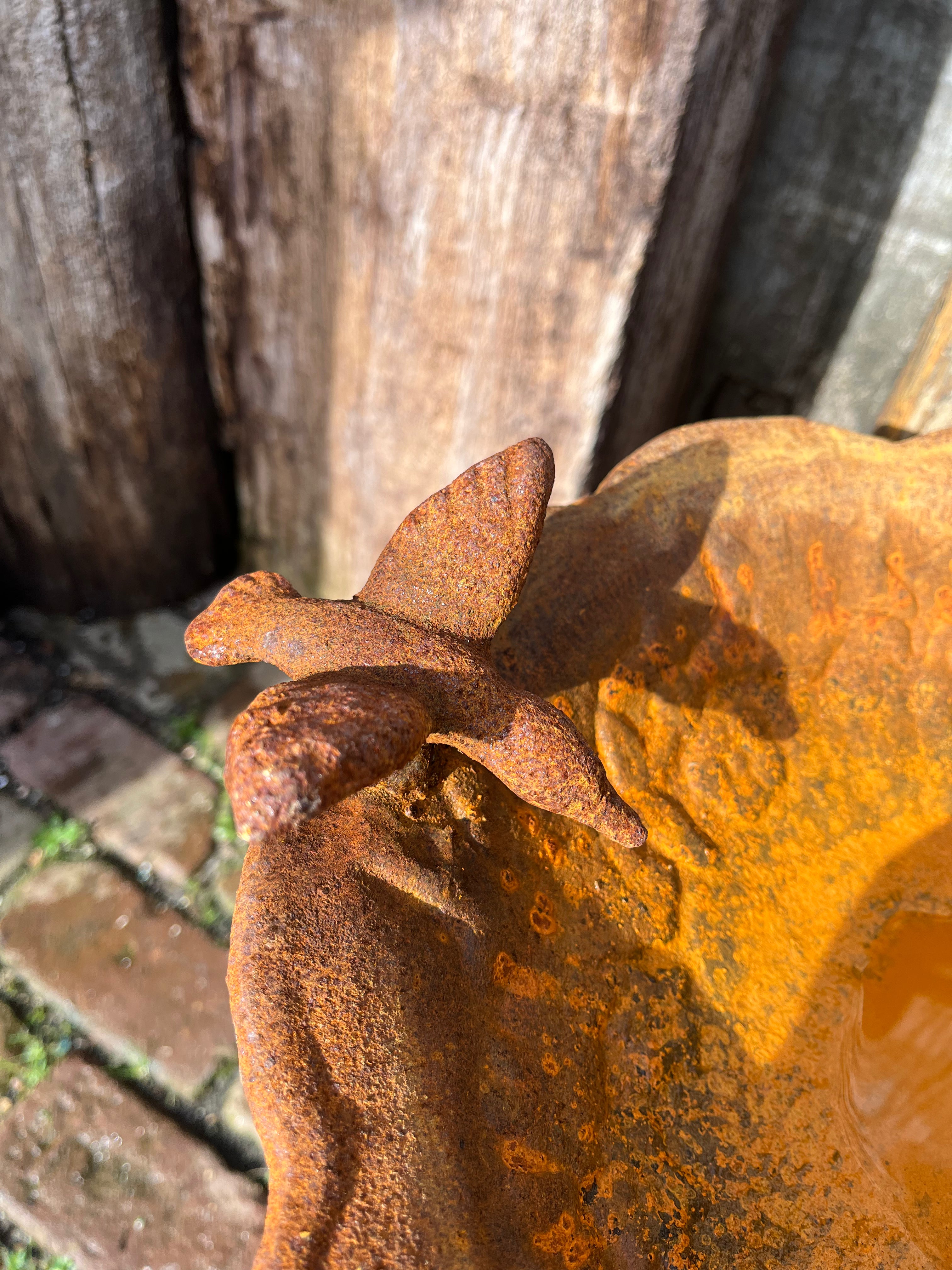 Vogel drinkbak met prachtige engel - Brocante bij Ingie