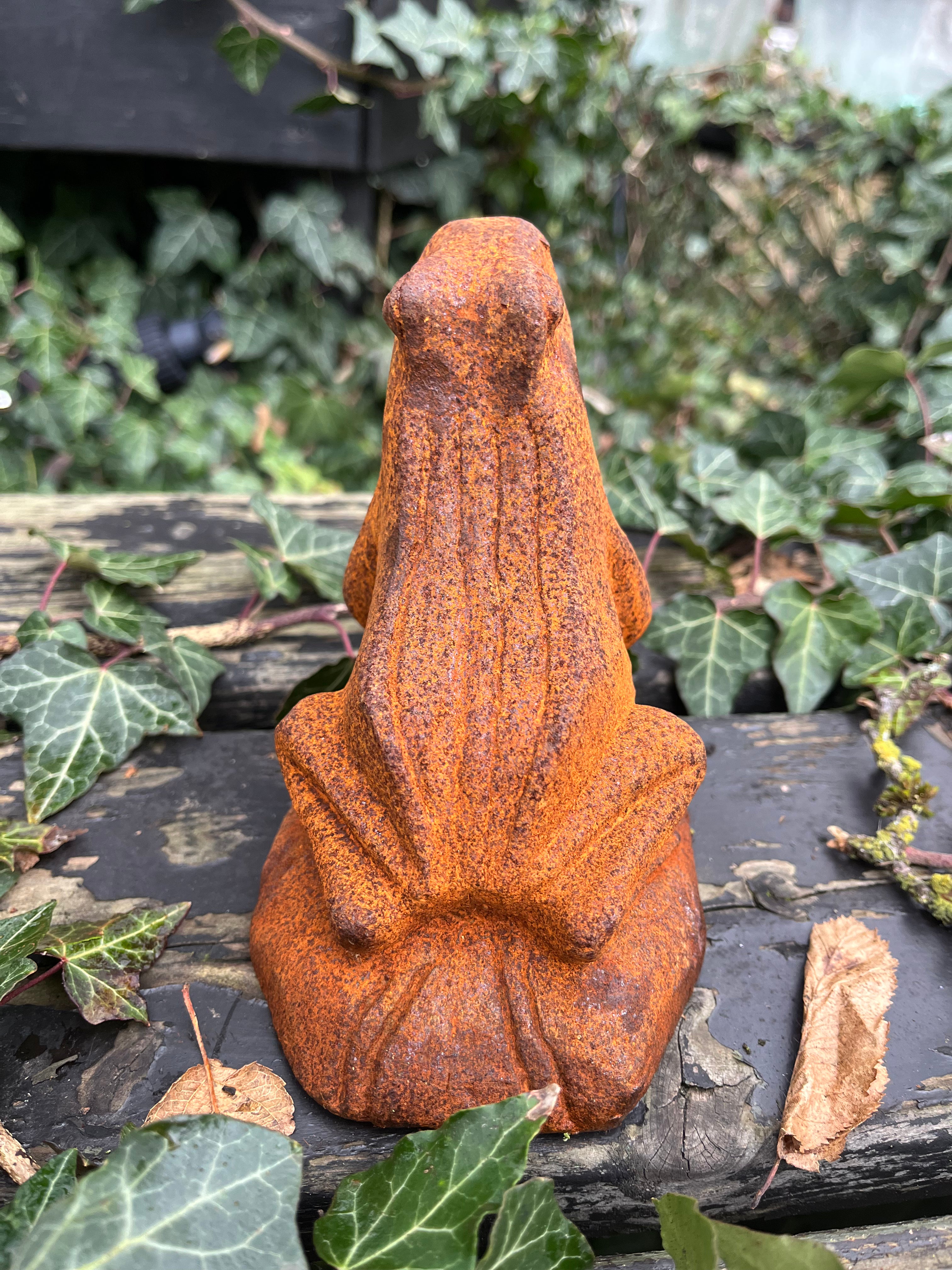 Kikker van gietijzer - Brocante bij Ingie