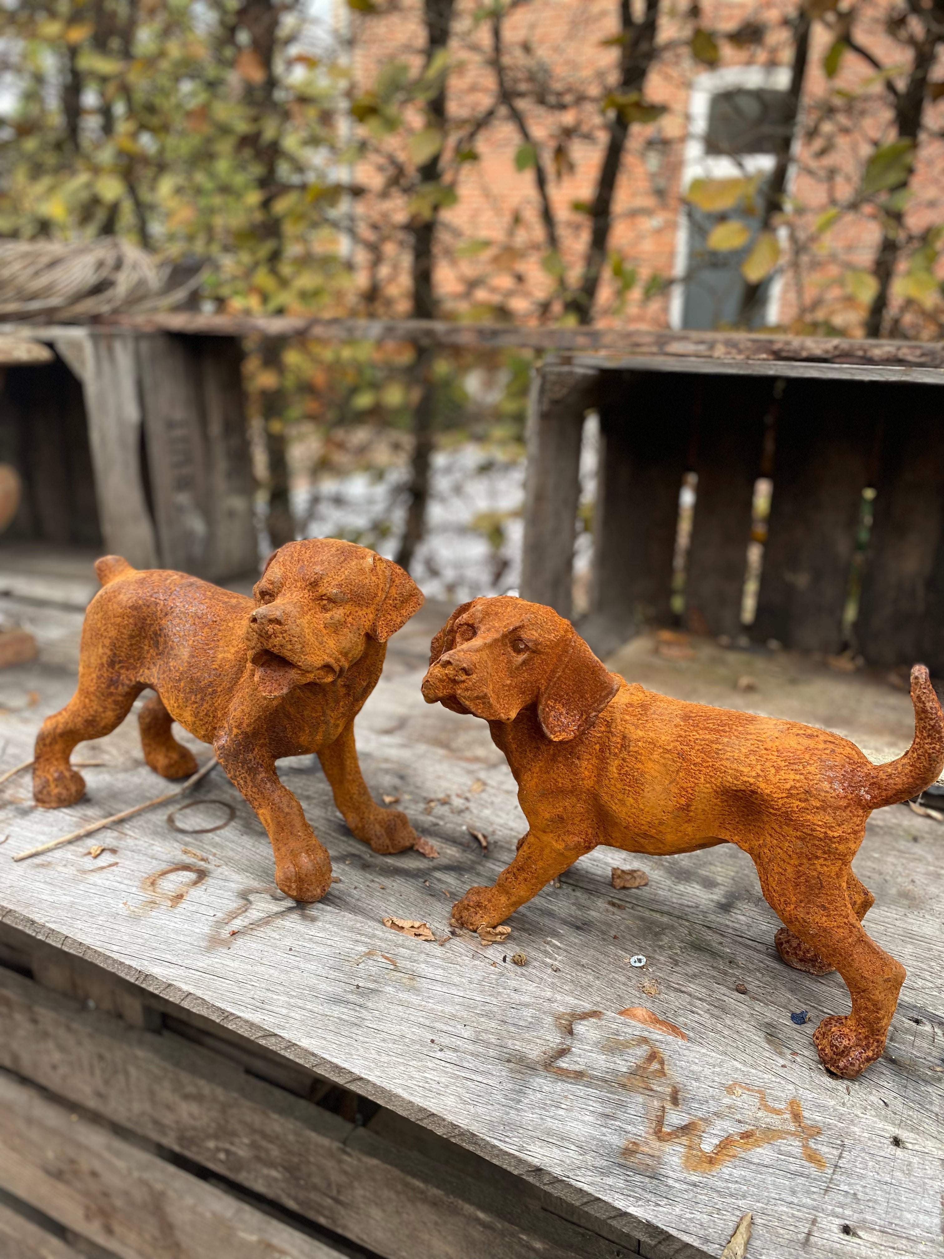 Set van 2 honden van gietijzer - Brocante bij Ingie