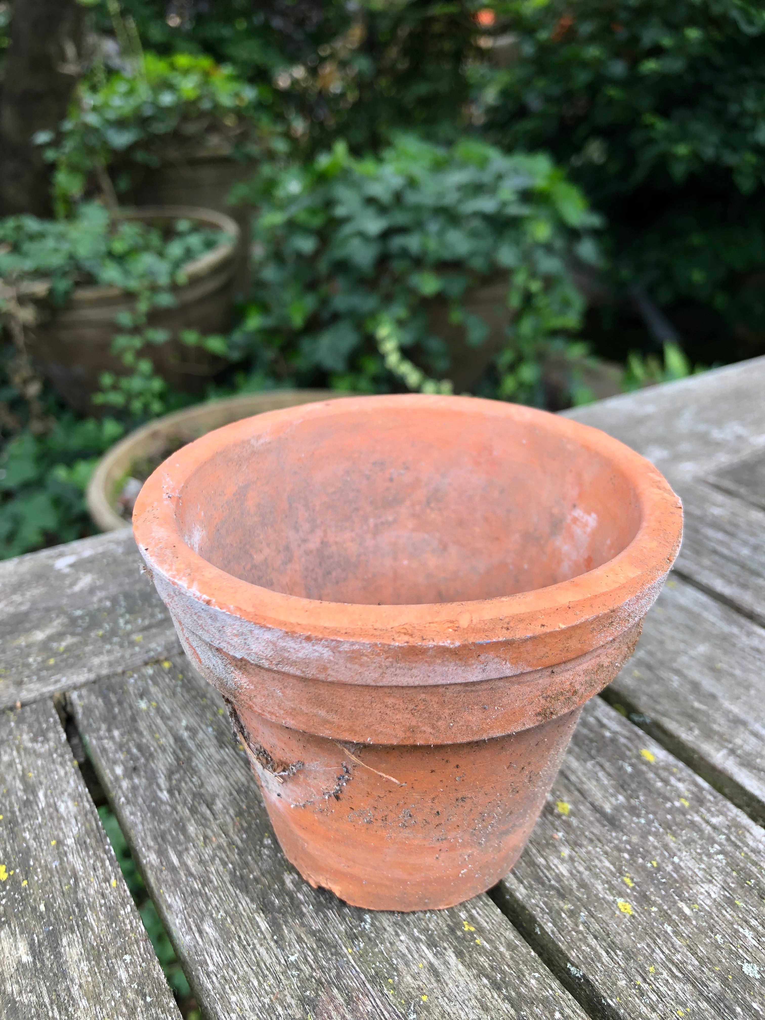 oude Terra Cotta potjes van orchideeën kwekerij! - Brocante bij Ingie