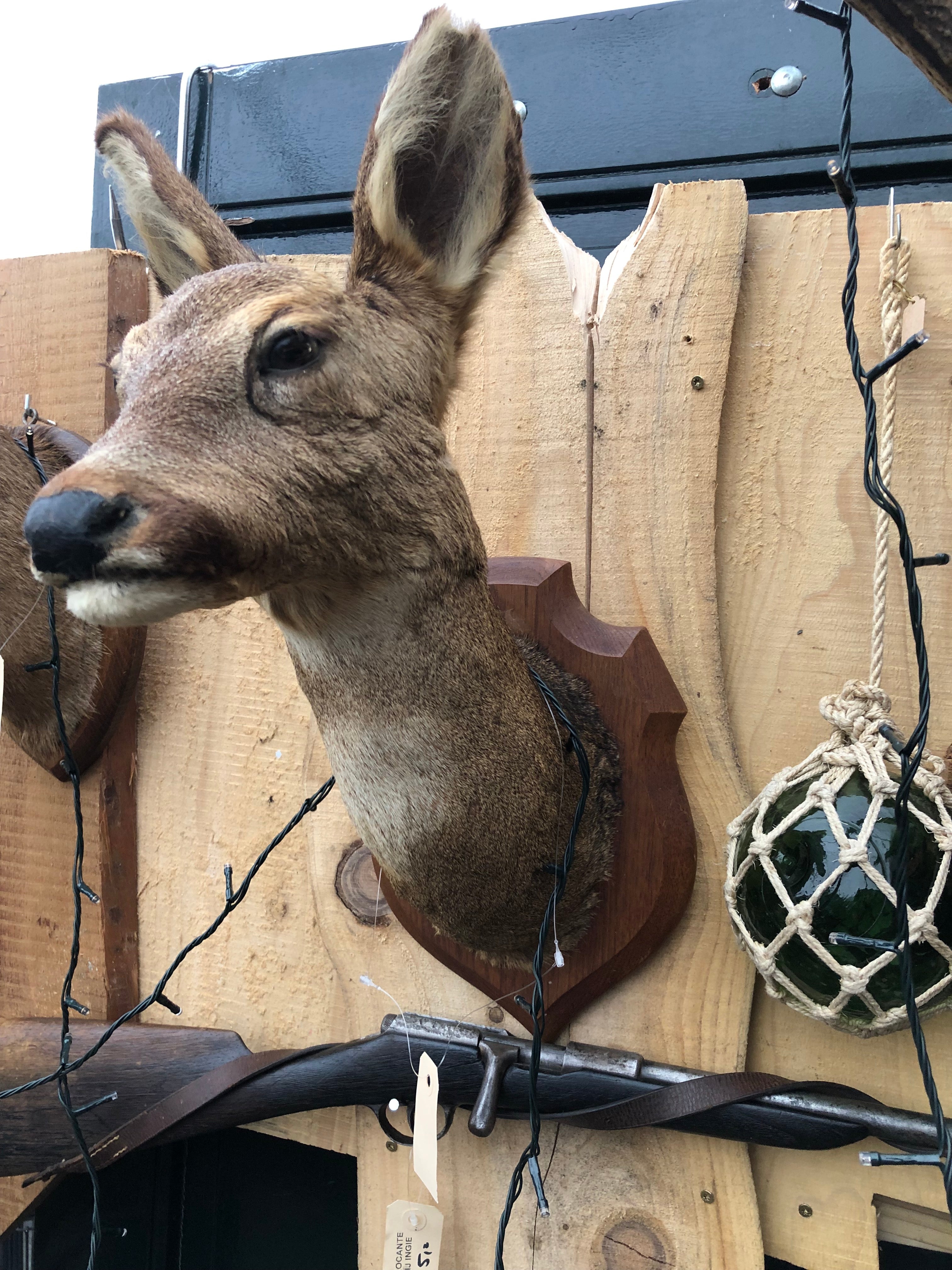 opgezet Hinde kopje - Brocante bij Ingie