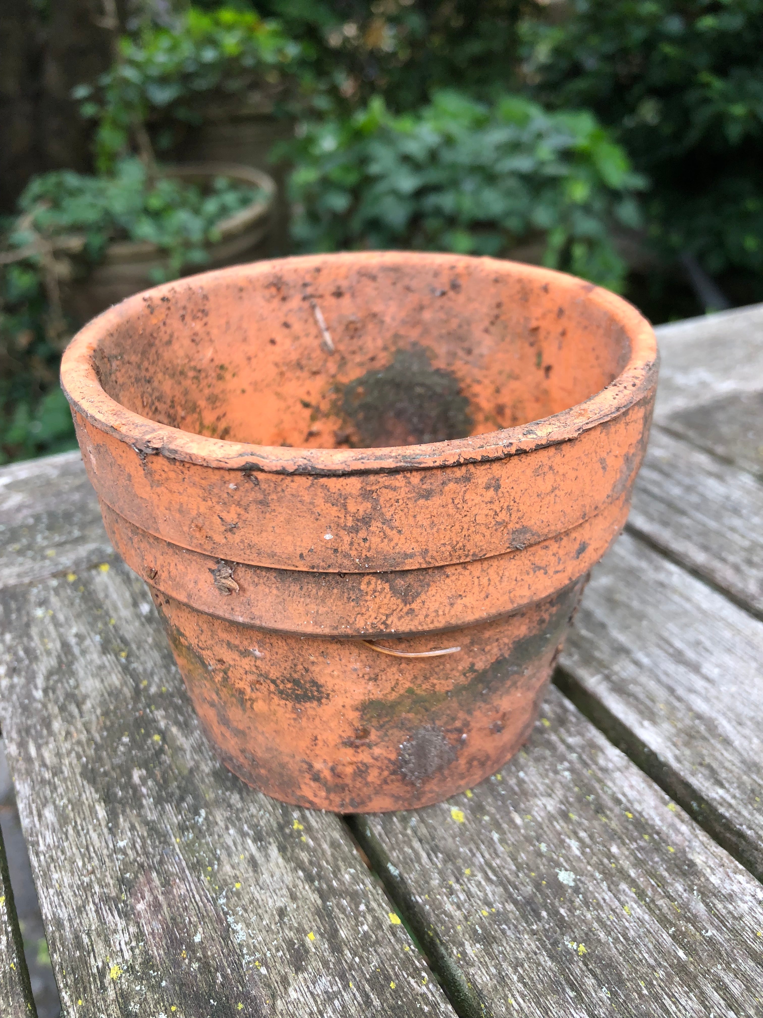 oude Terra Cotta potjes van orchideeën kwekerij! - Brocante bij Ingie